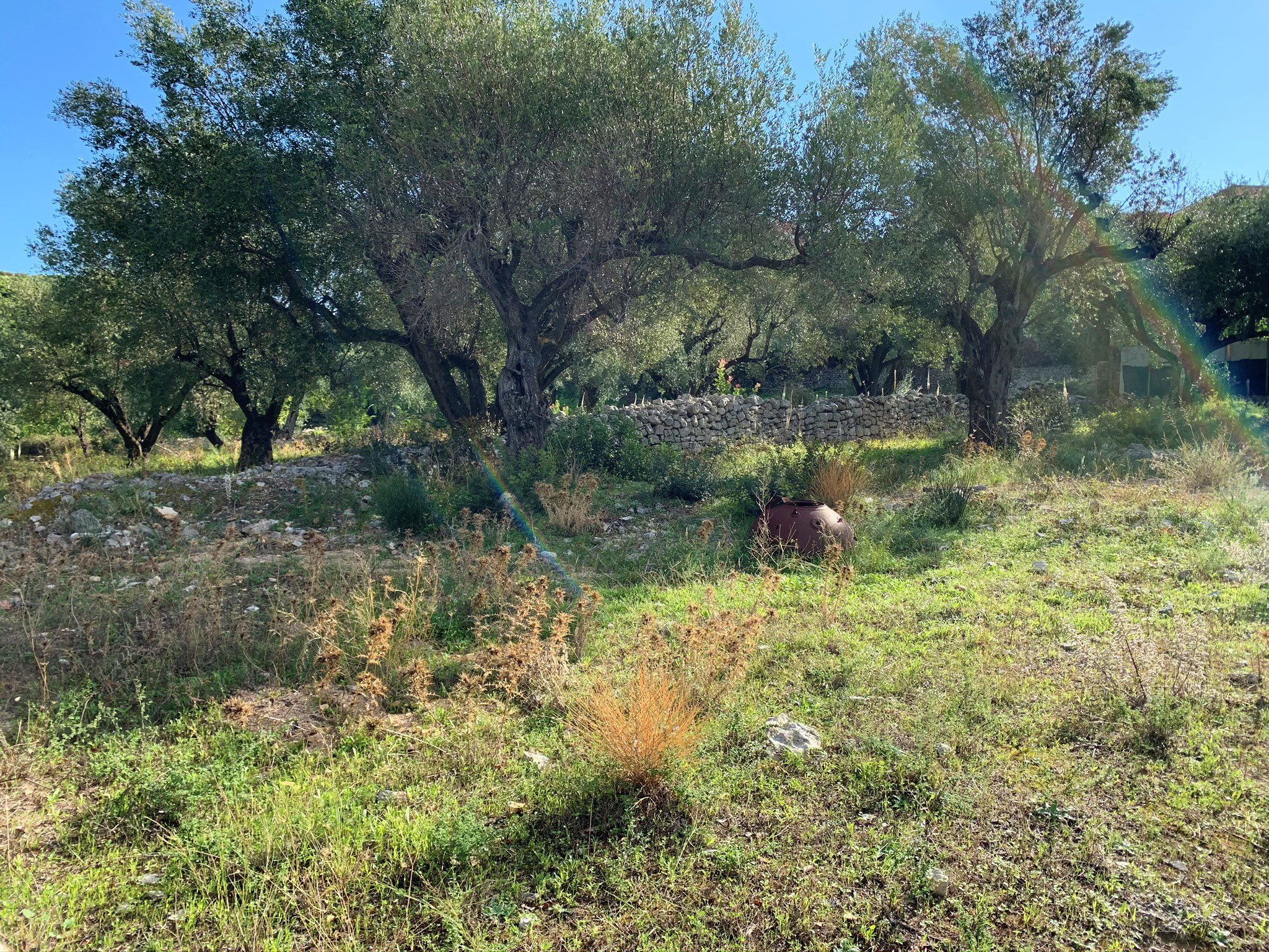 Landscape terrain of land for sale Ithaca Greece Kioni