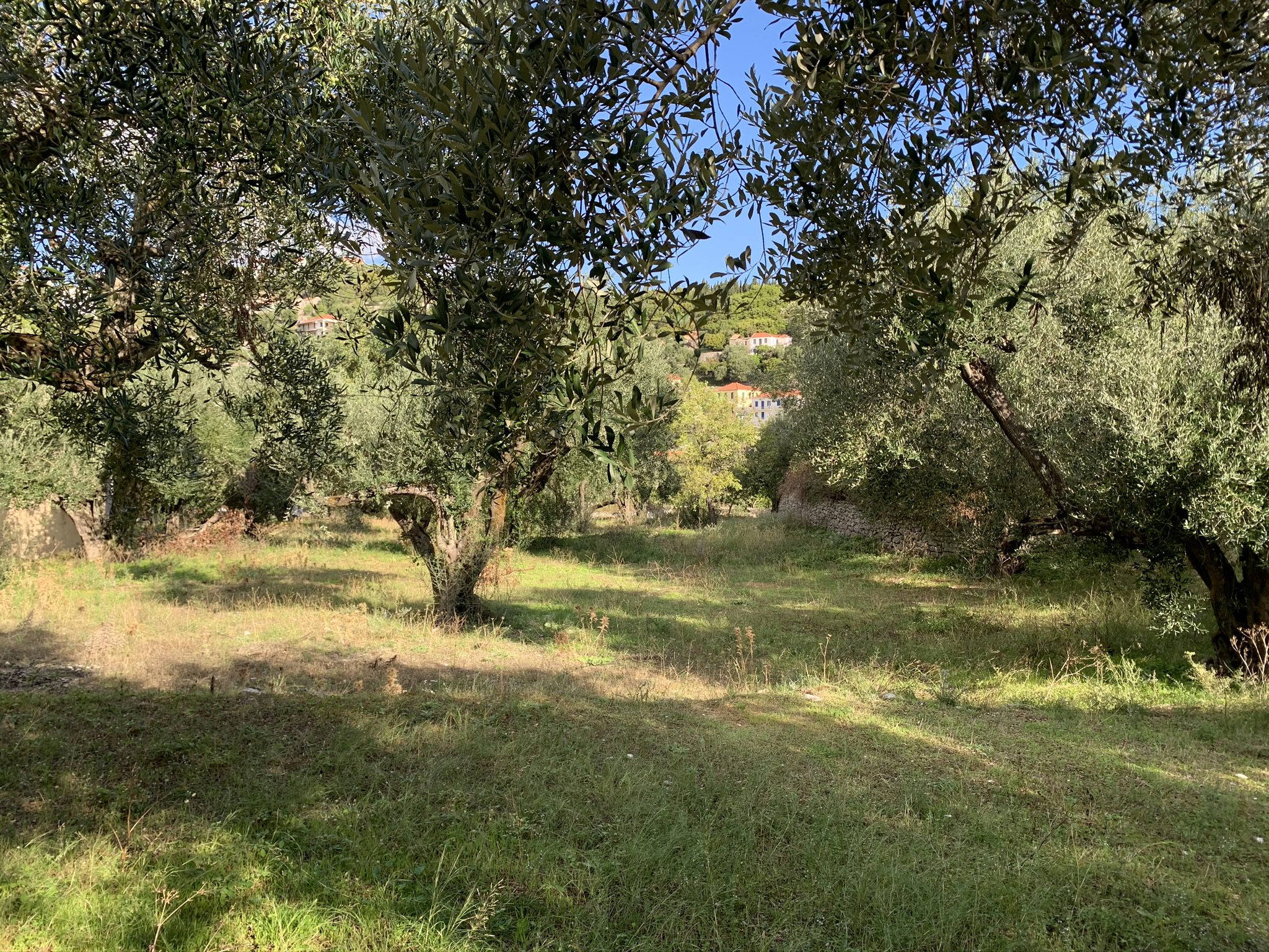 Landscape terrain of land for sale Ithaca Greece Kioni