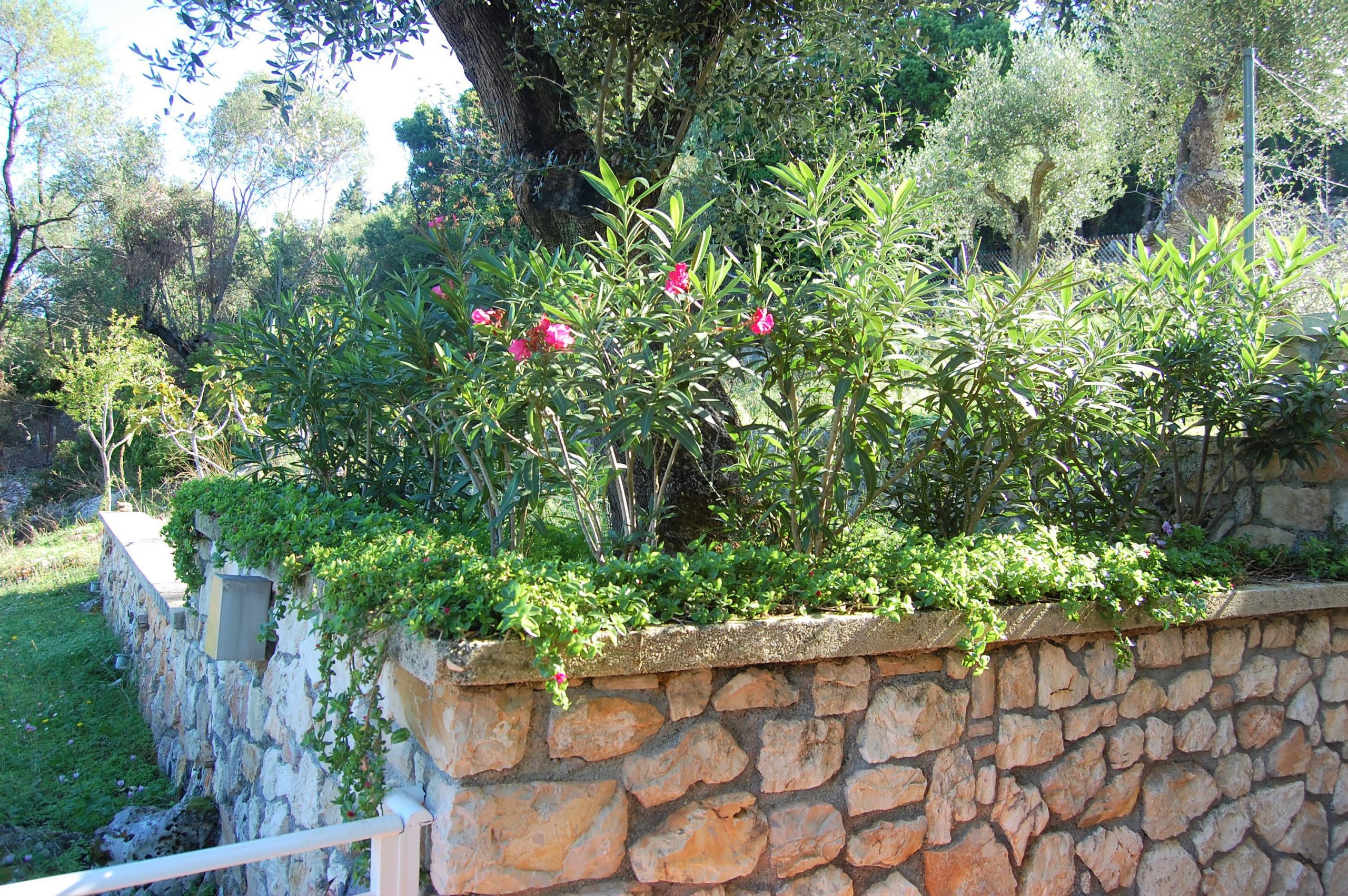 Πέτρινη βεράντα και κήπος εξοχικής κατοικίας προς ενοικίαση στην Ιθάκα, Φρίκες