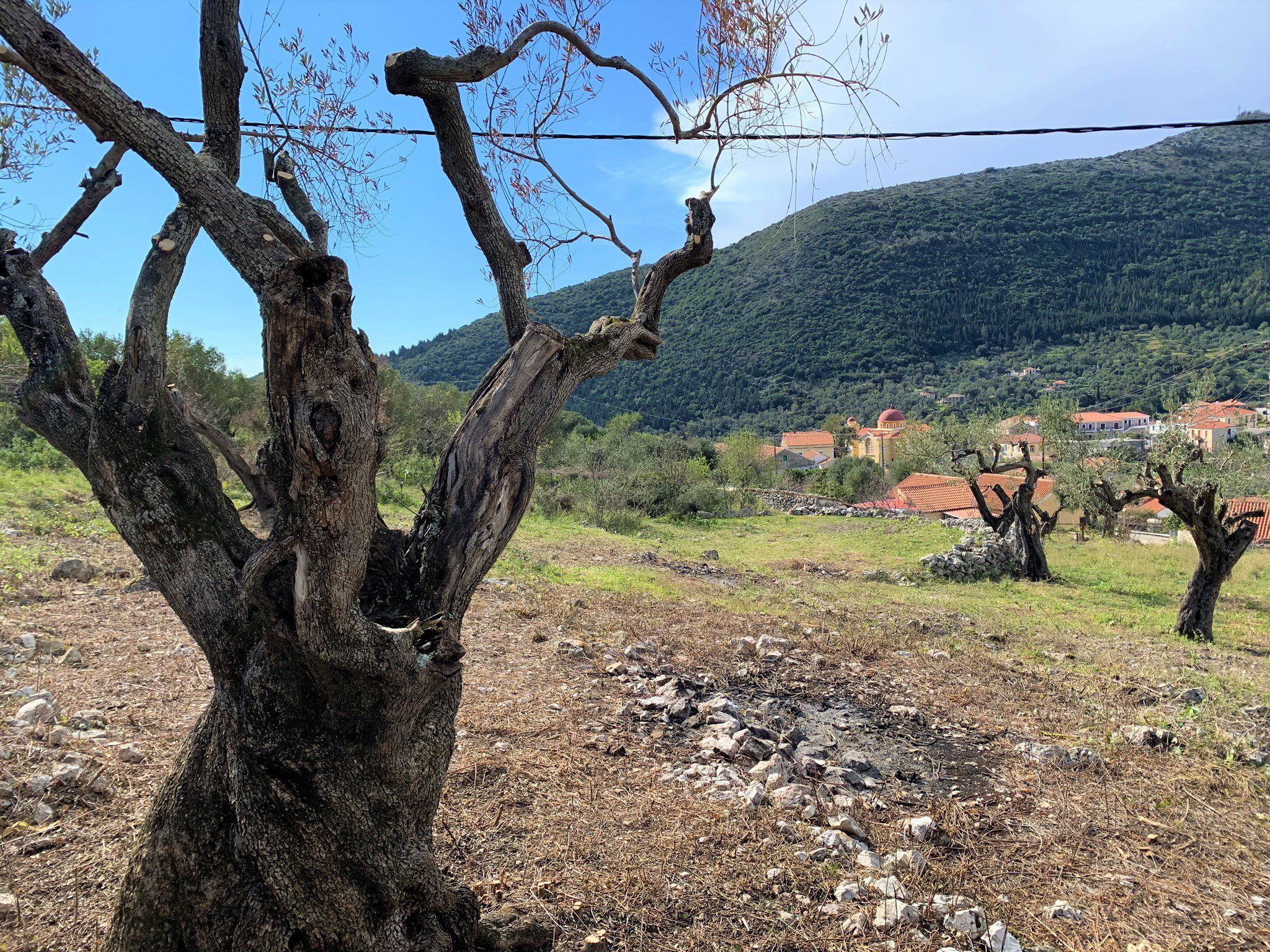 Landscape and terrain of land for sale in Ithaca Greece, Stavros