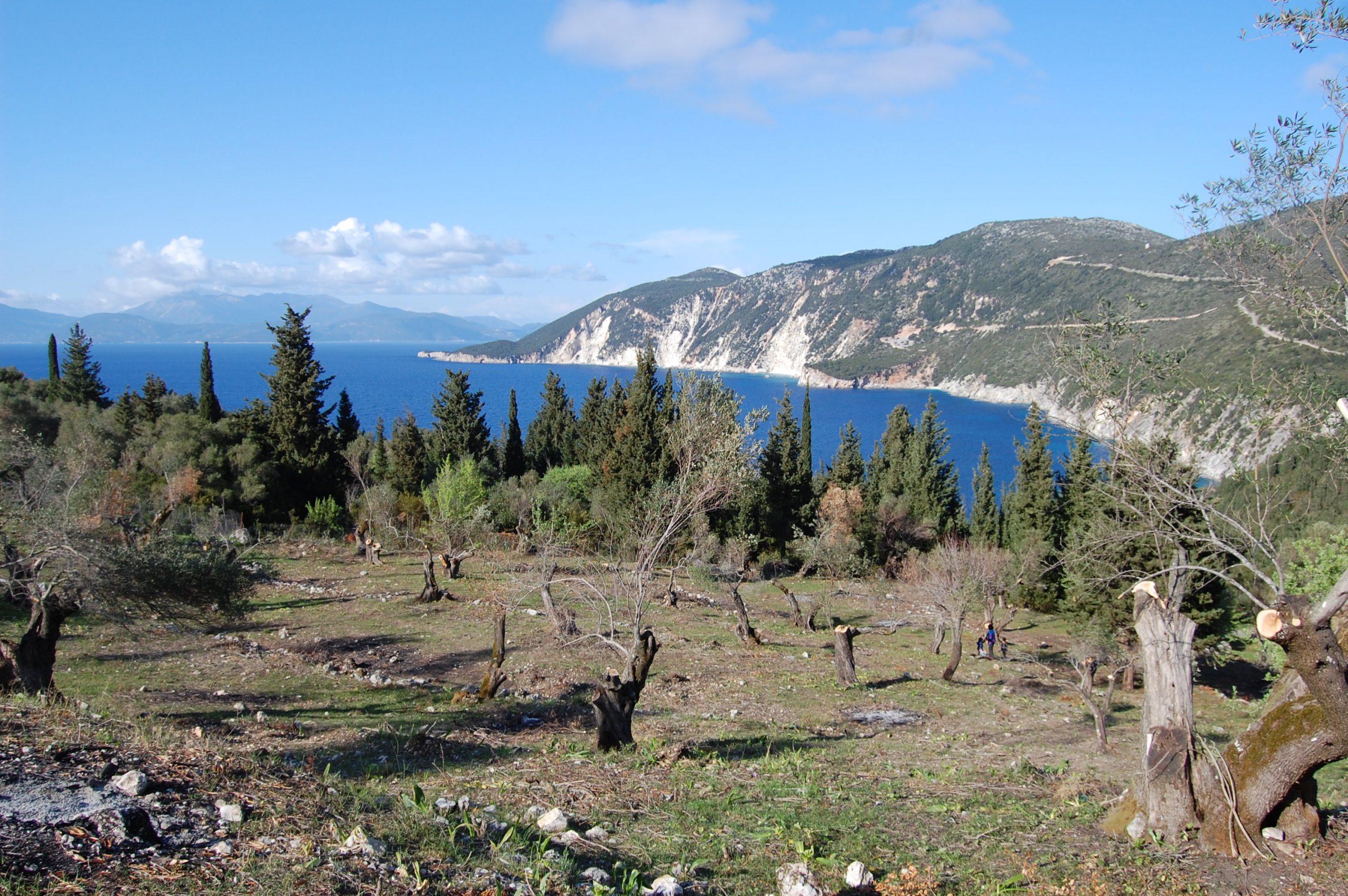 Landscape terrain of land for sale Ithaca Greece Afales