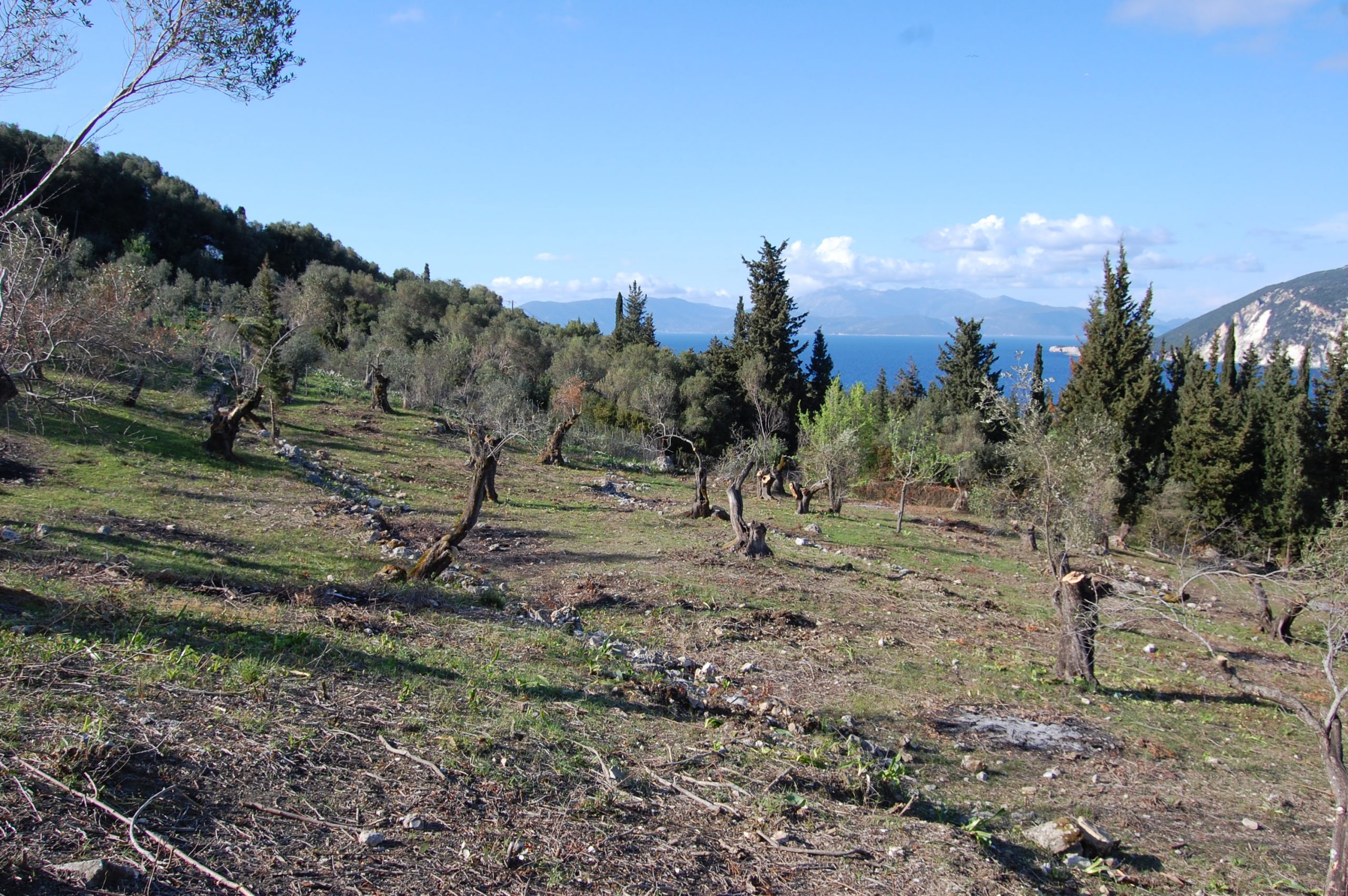 Landscape terrain of land for sale Ithaca Greece Afales