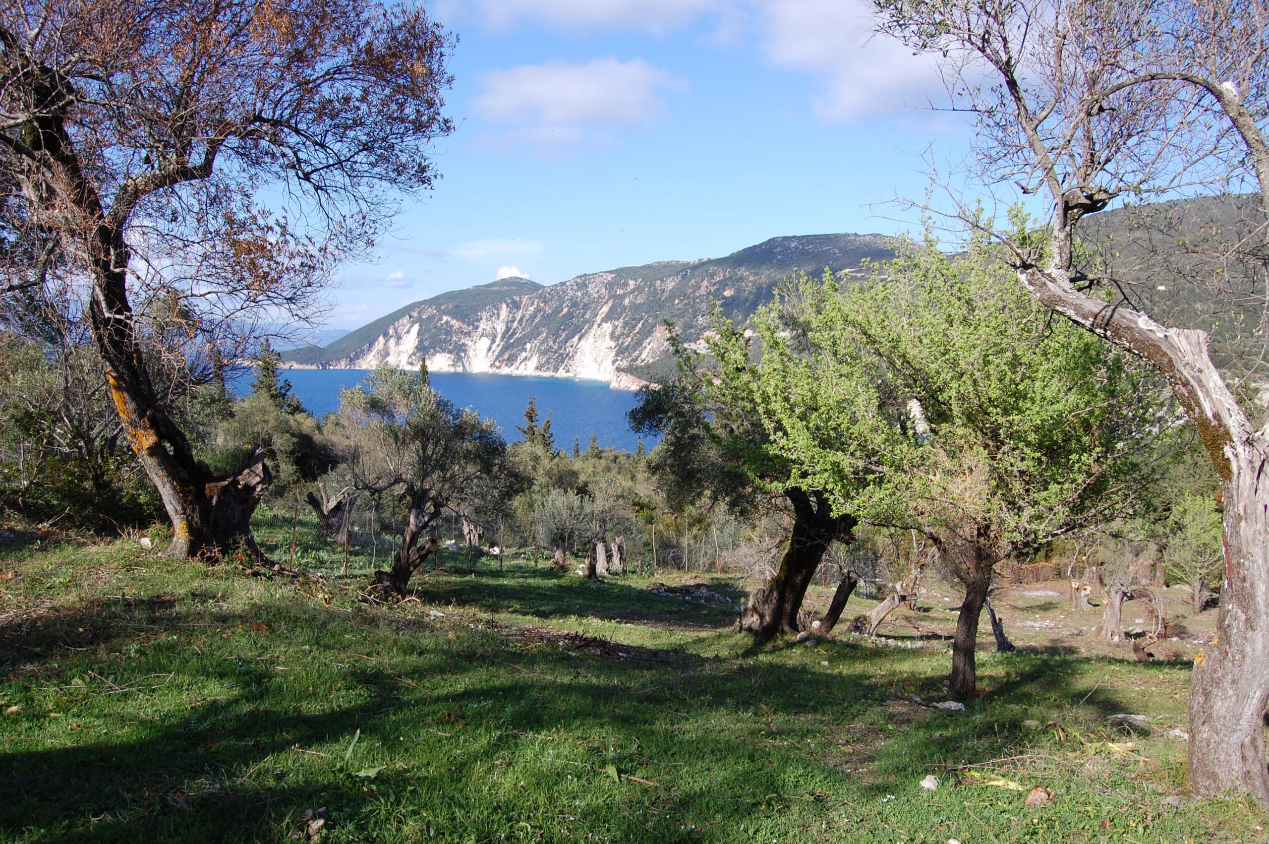 Landscape terrain of land for sale Ithaca Greece Afales