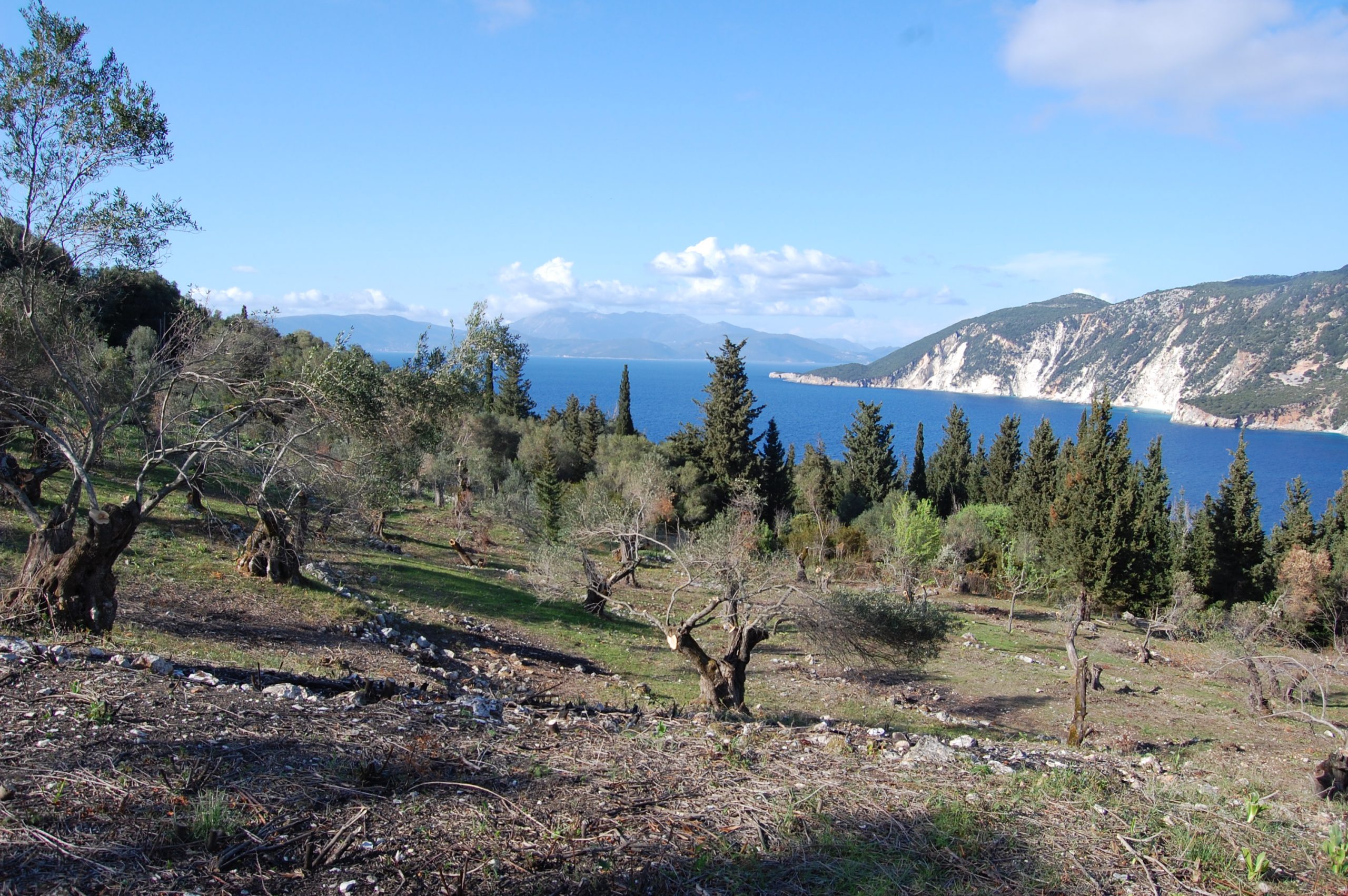 Landscape terrain of land for sale Ithaca Greece Afales