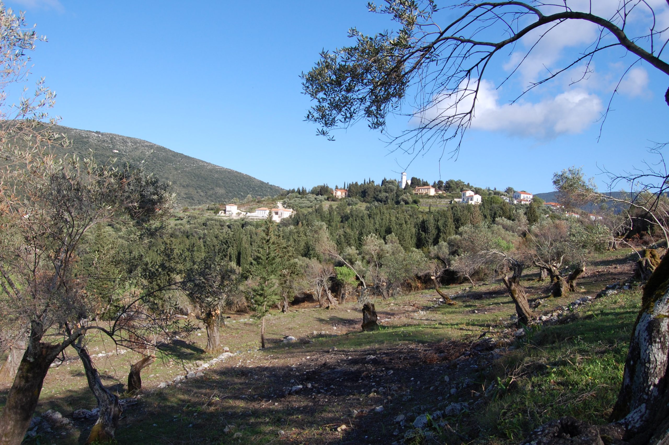 Landscape terrain of land for sale Ithaca Greece Afales