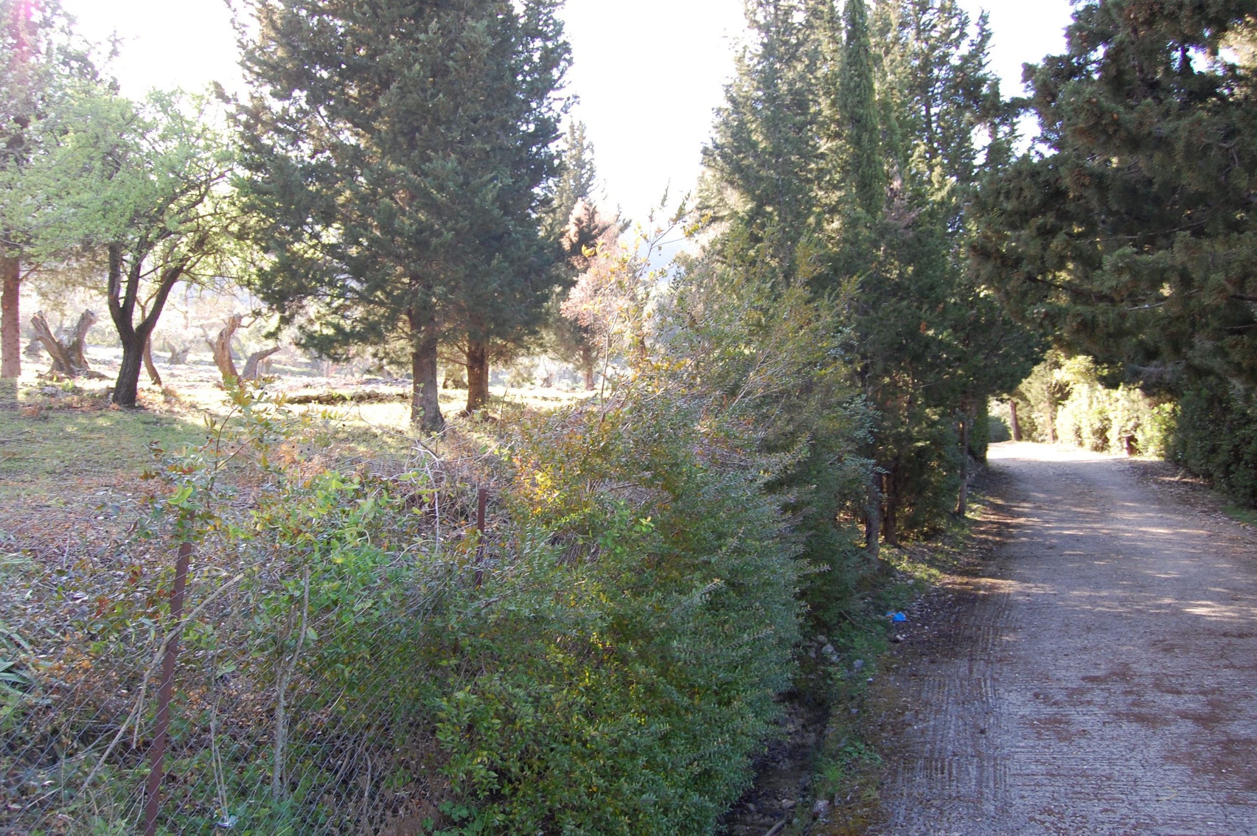 Landscape terrain of land for sale Ithaca Greece Afales