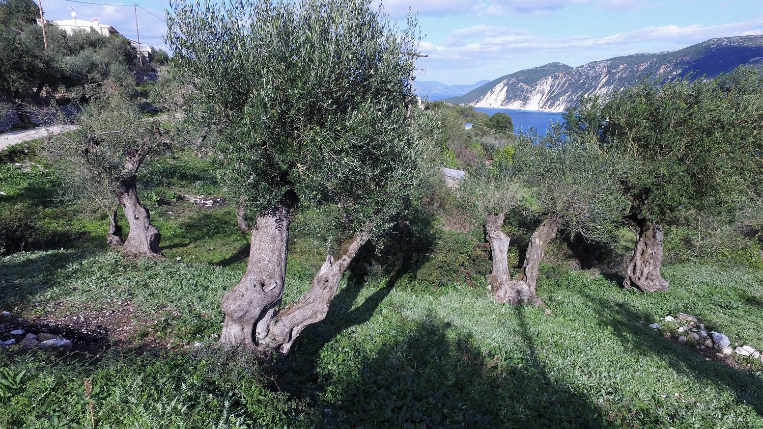 Terrain and sea view of land for sale in Ithaca Greece, Kolleri