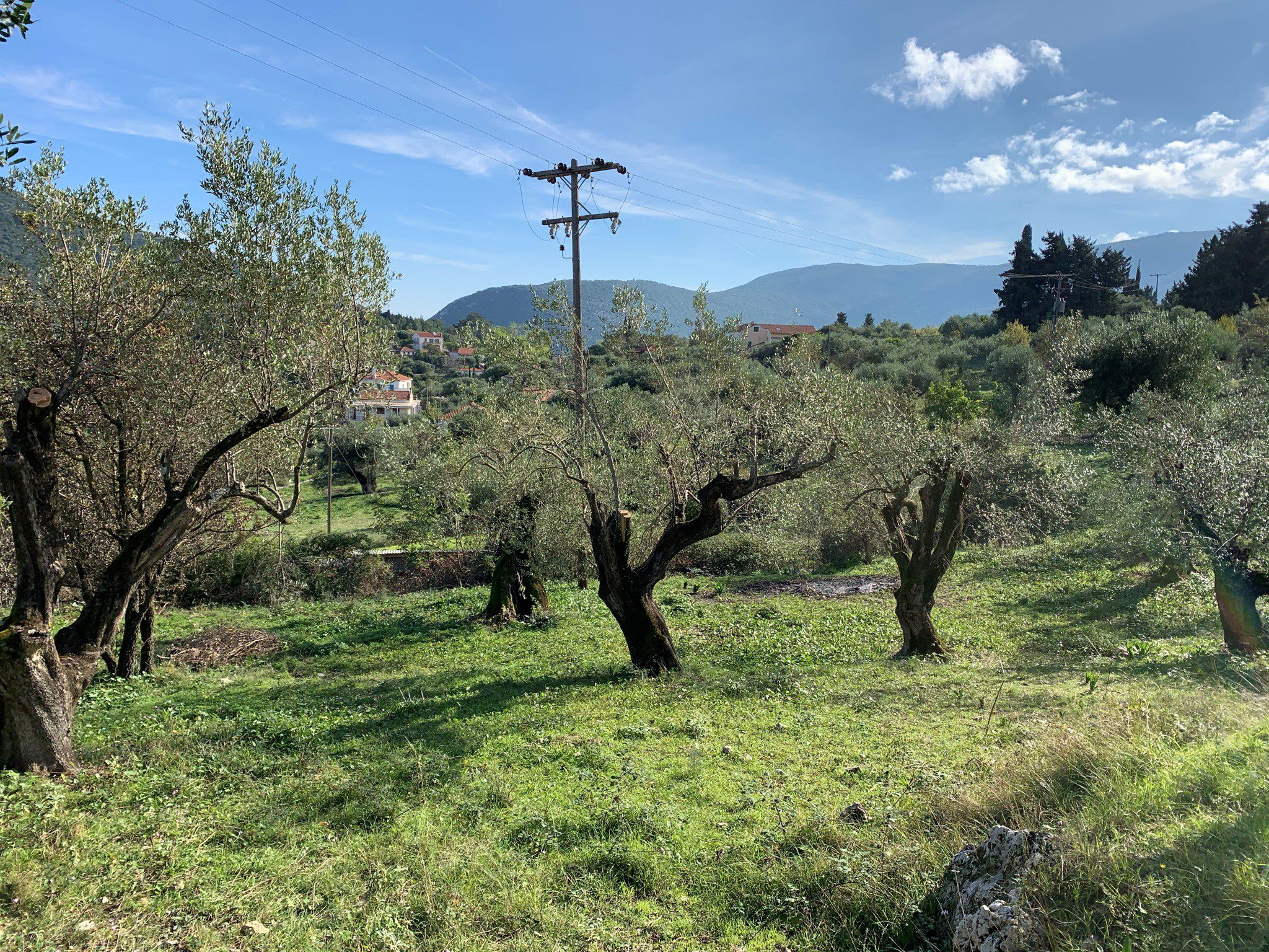 Terrain of olive groves, land for sale Ithaca Greece Kolleri