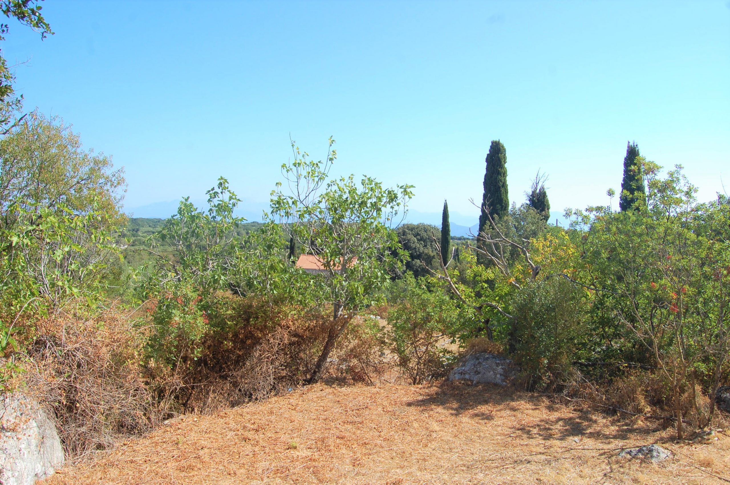 Surrounding land of house for sale Ithaca Greece, Anoghi