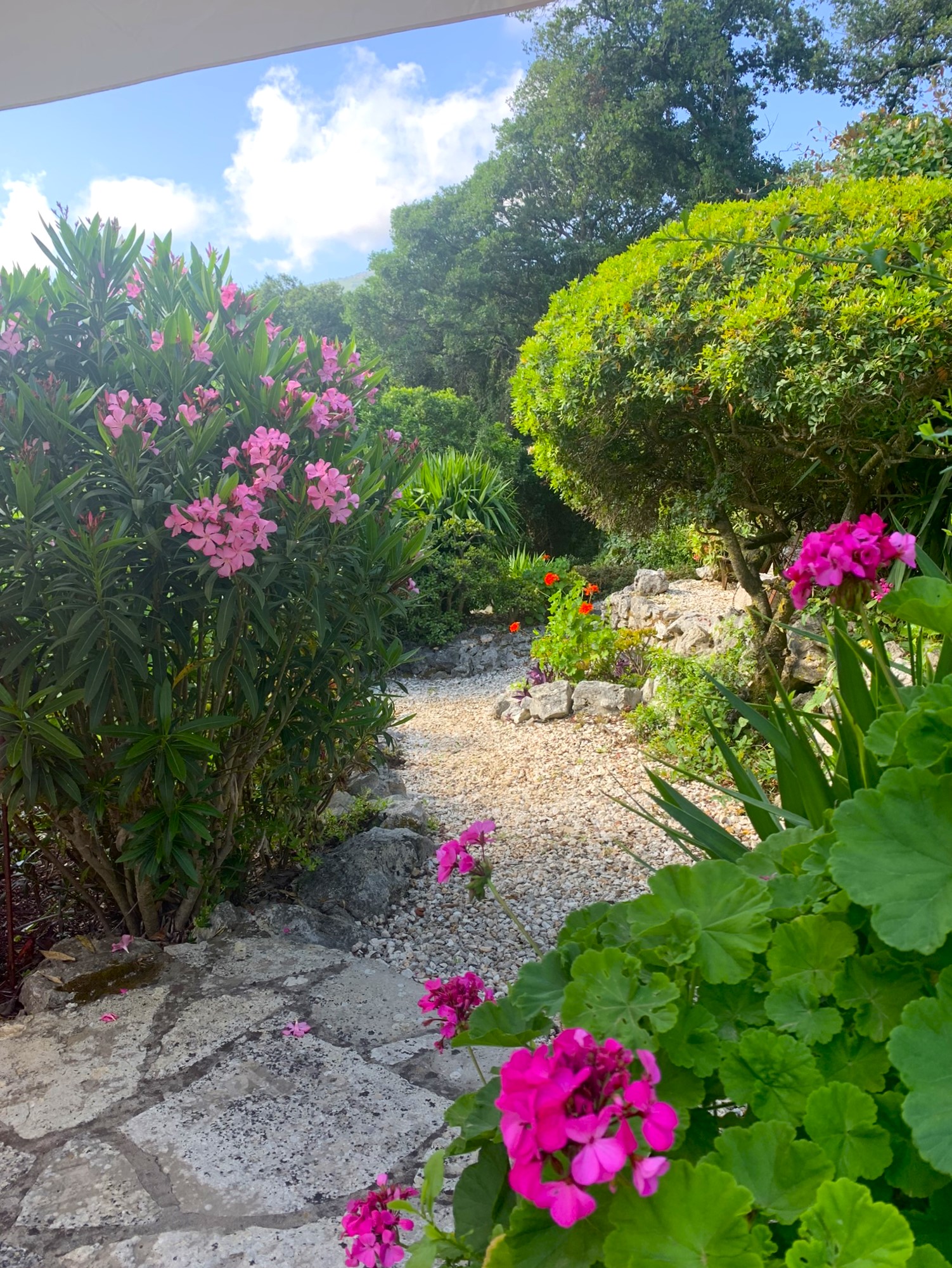 Garden pathway of house for sale in Ithaca Greece, Lahos
