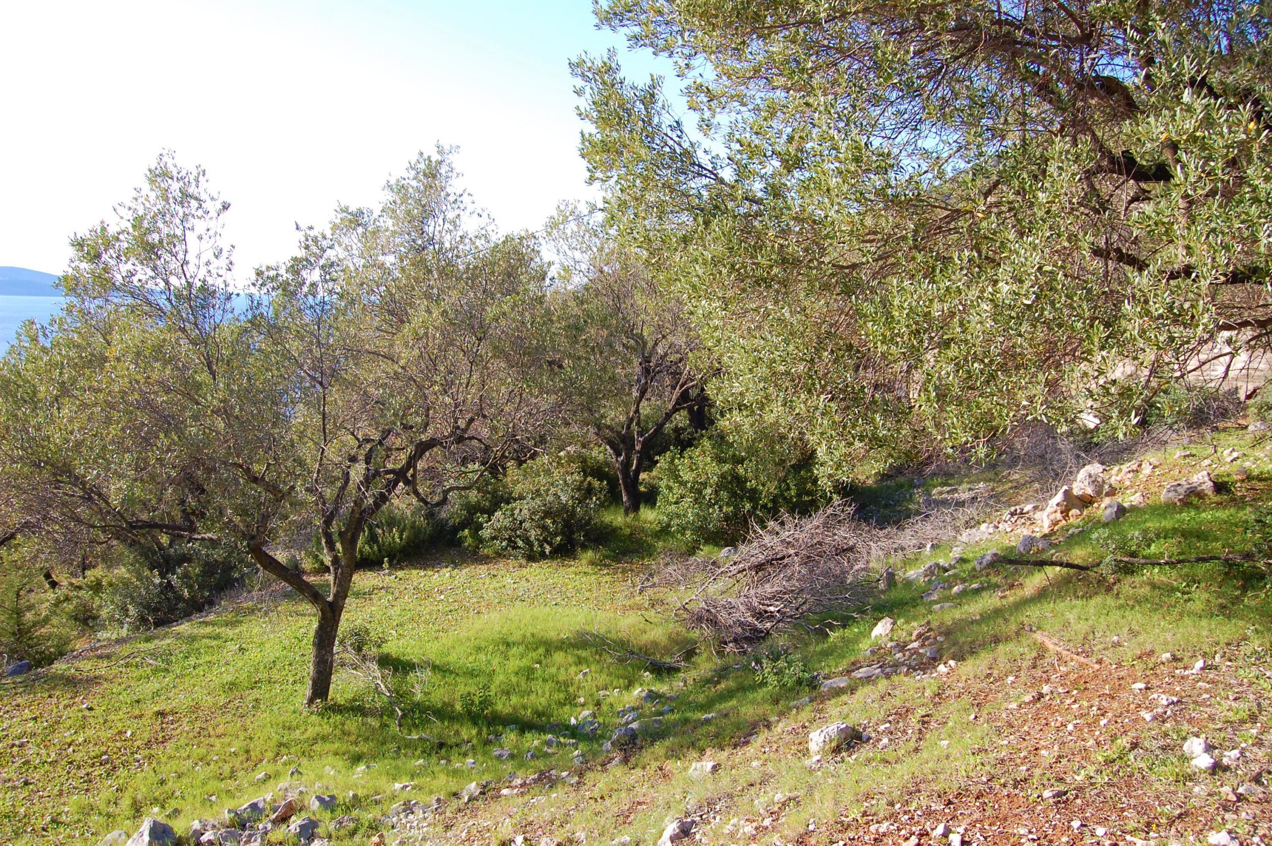 Landscape and terrain of land for sale in Ithaca Greece, Ag Ioannis