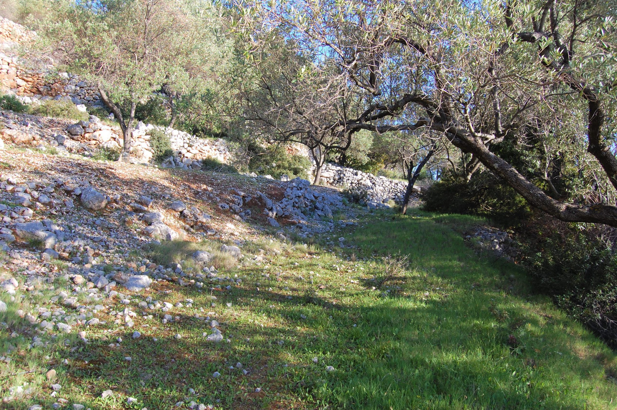 Landscape and terrain of land for sale in Ithaca Greece, Ag Ioannis