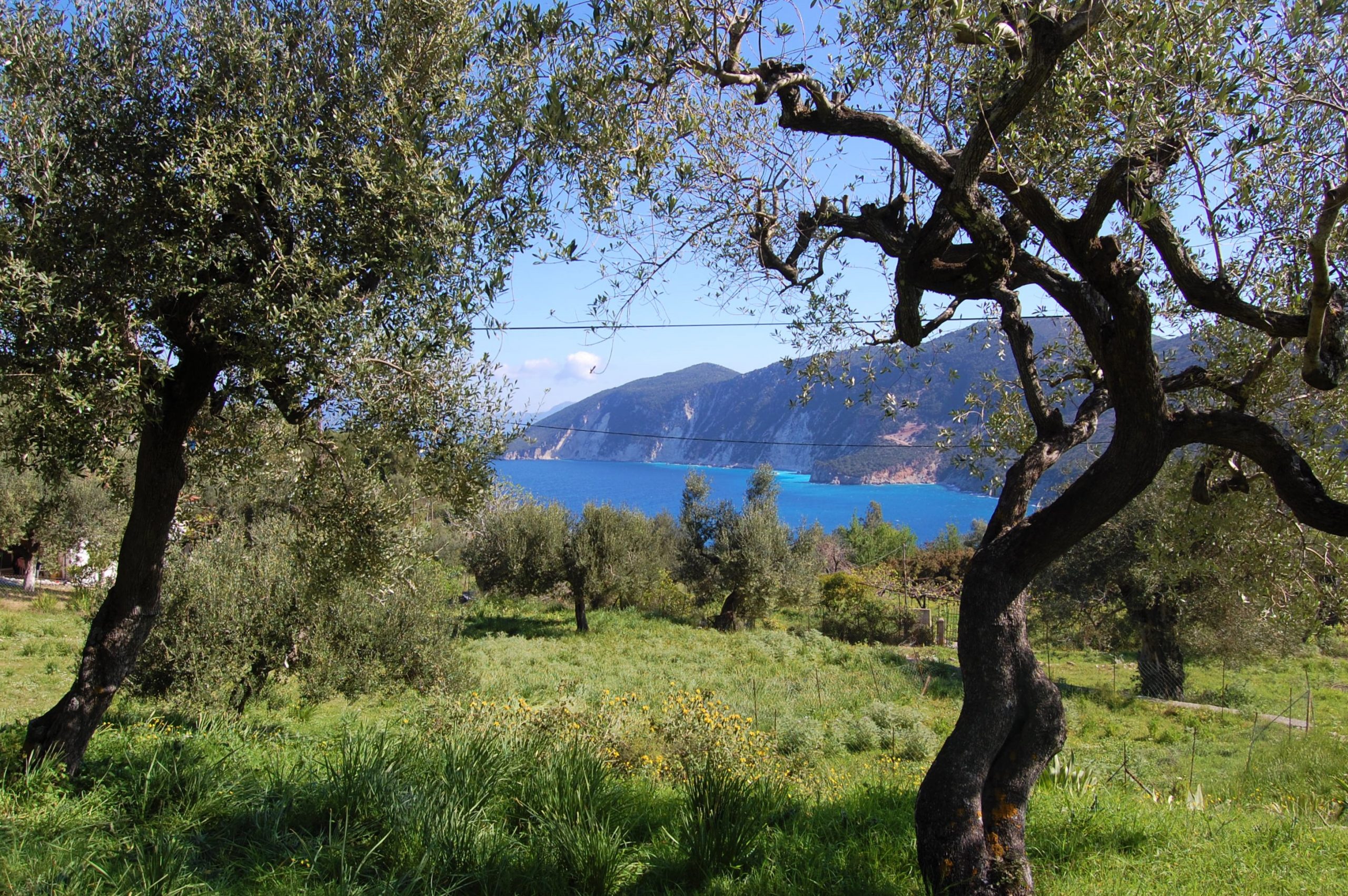 Sea view from land for sale in Ithaca Greece, Kolleri