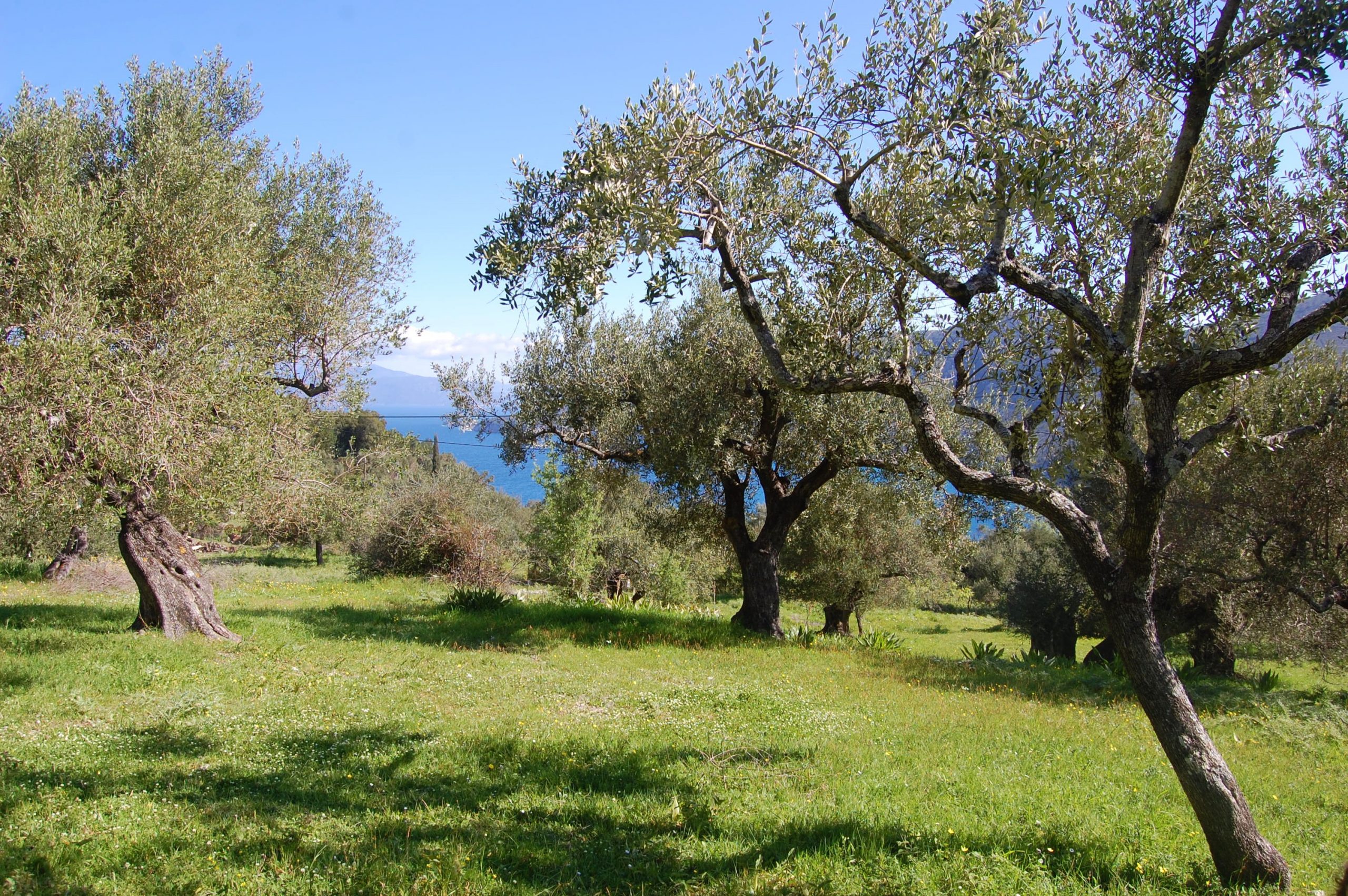 Sea view from land for sale in Ithaca Greece, Kolleri