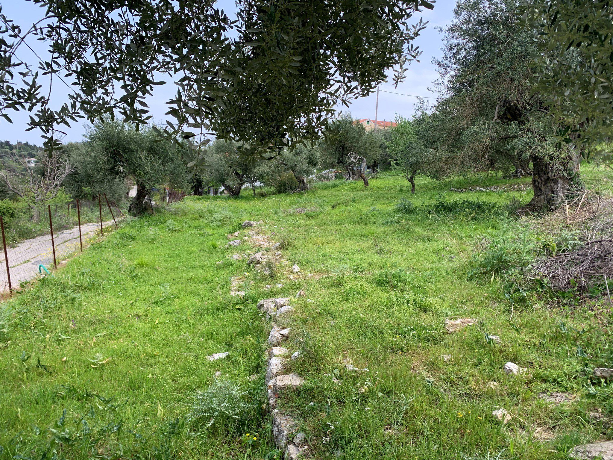 Landscape and terrain of land for sale in Ithaca Greece, Kolleri