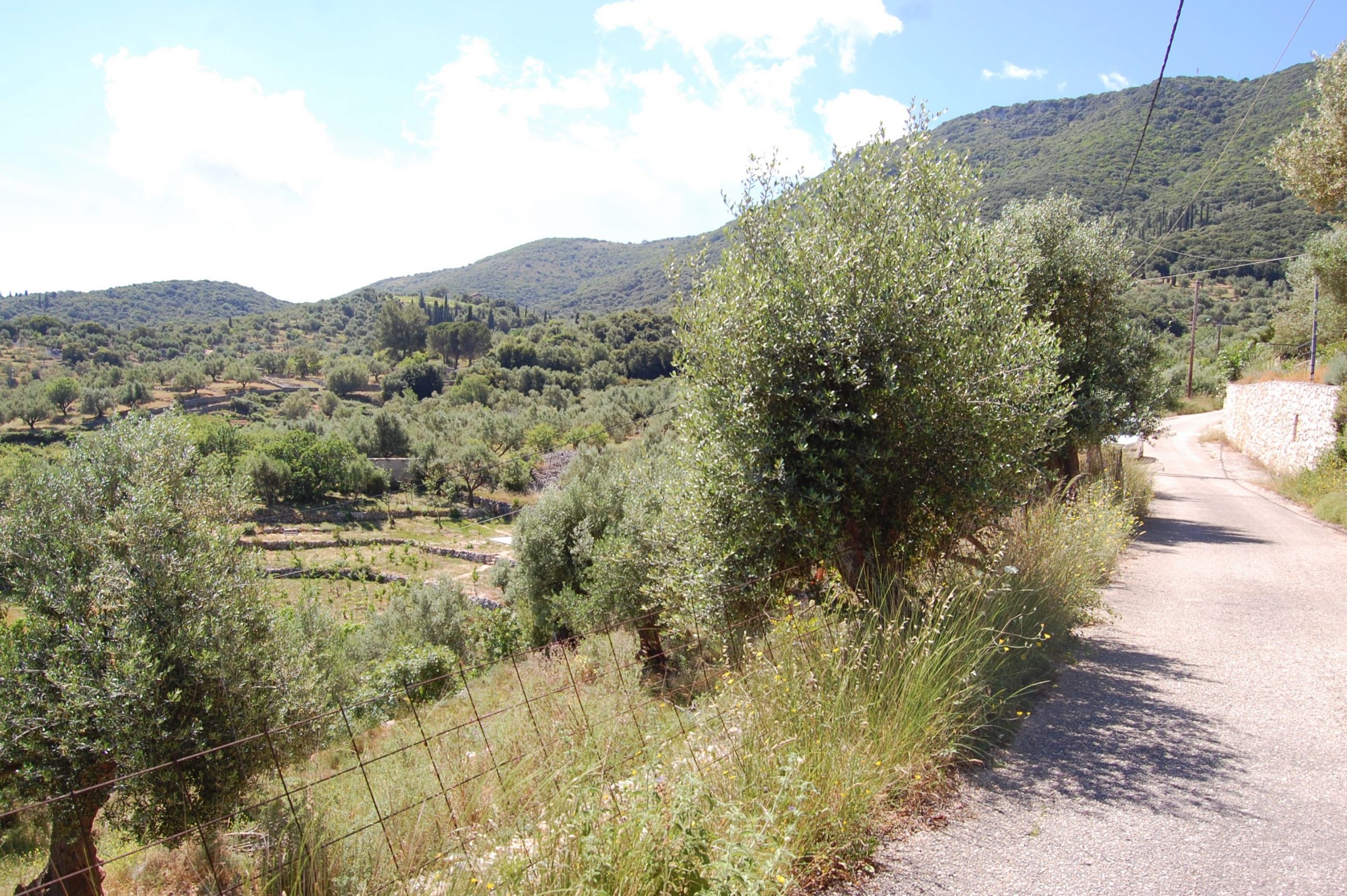 Land for Sale Ithaca Greece Perachori