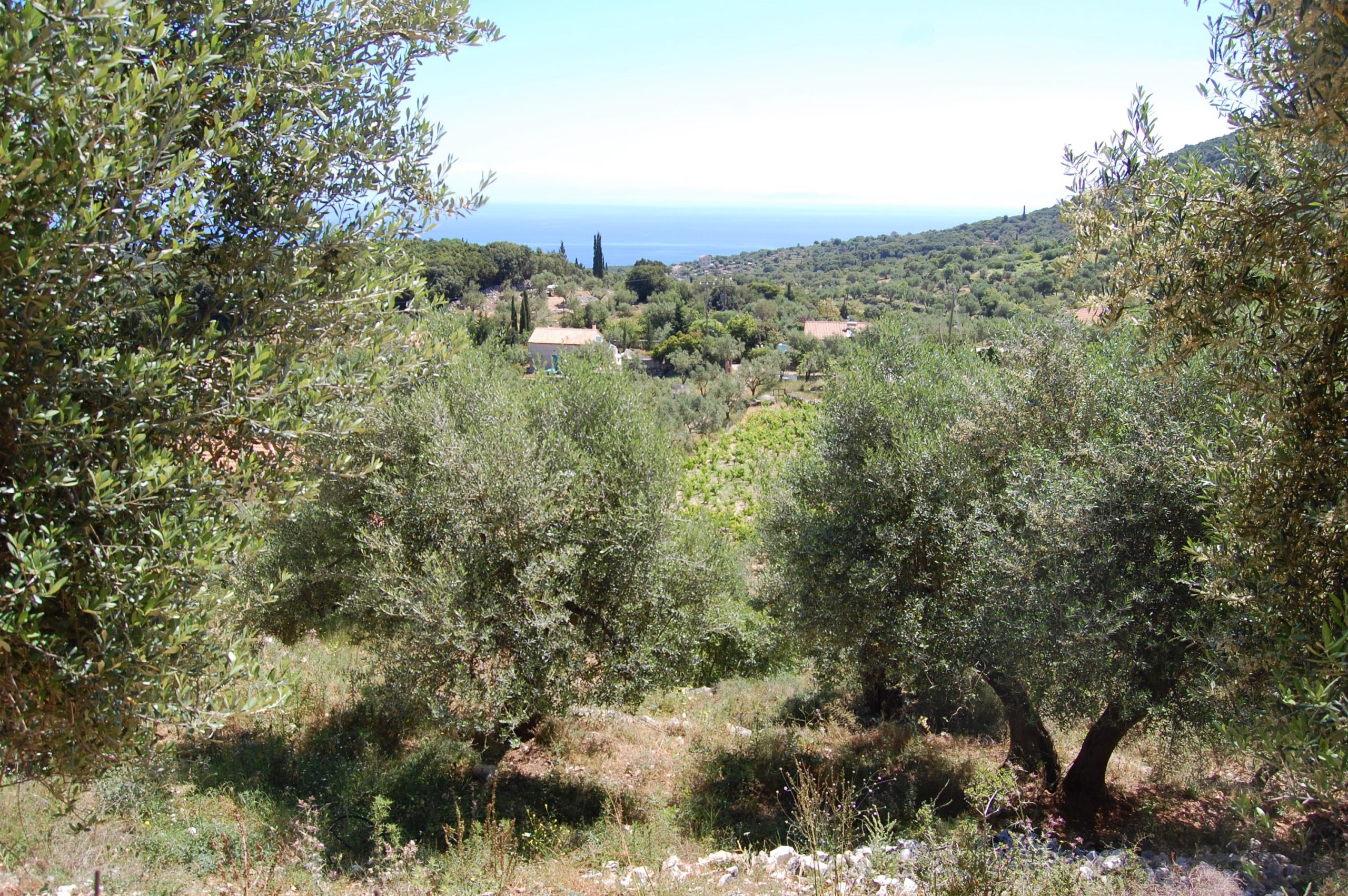 Land for Sale Ithaca Greece Perachori
