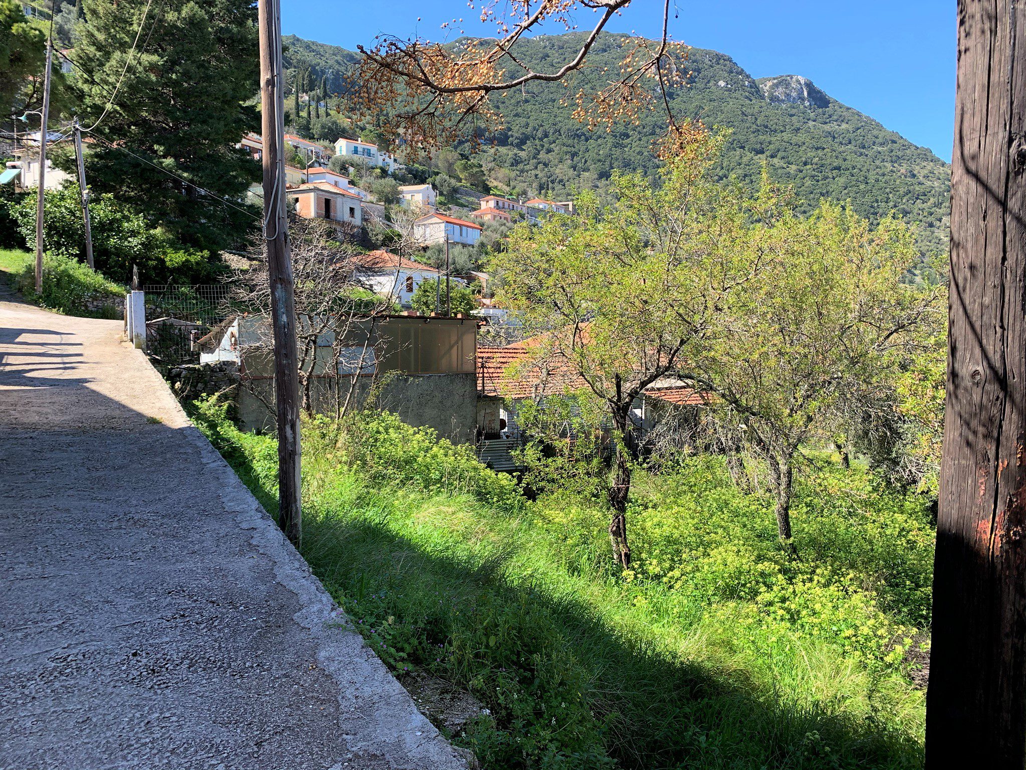 Uncleared landscape of land for sale in Ithaca Greece, Perachori
