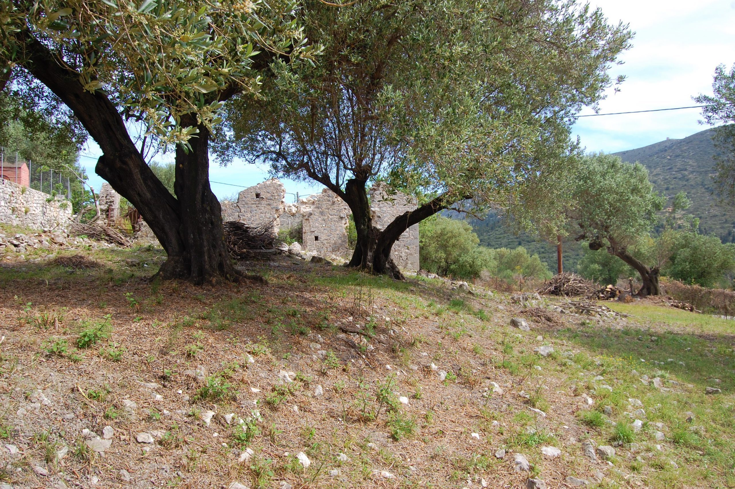 Landscape and terrain of land for sale in Ithaca Greece, Ag Saranda