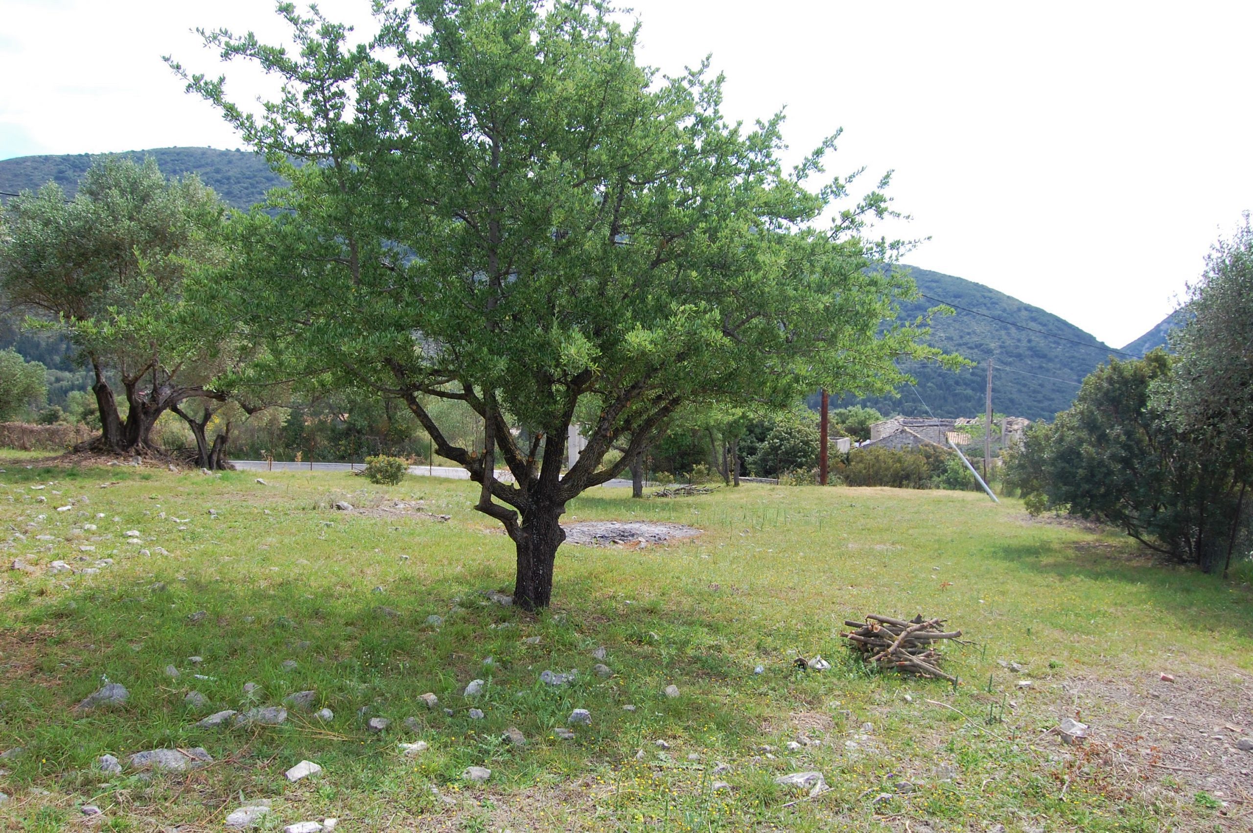 Landscape and terrain of land for sale in Ithaca Greece, Ag Saranda