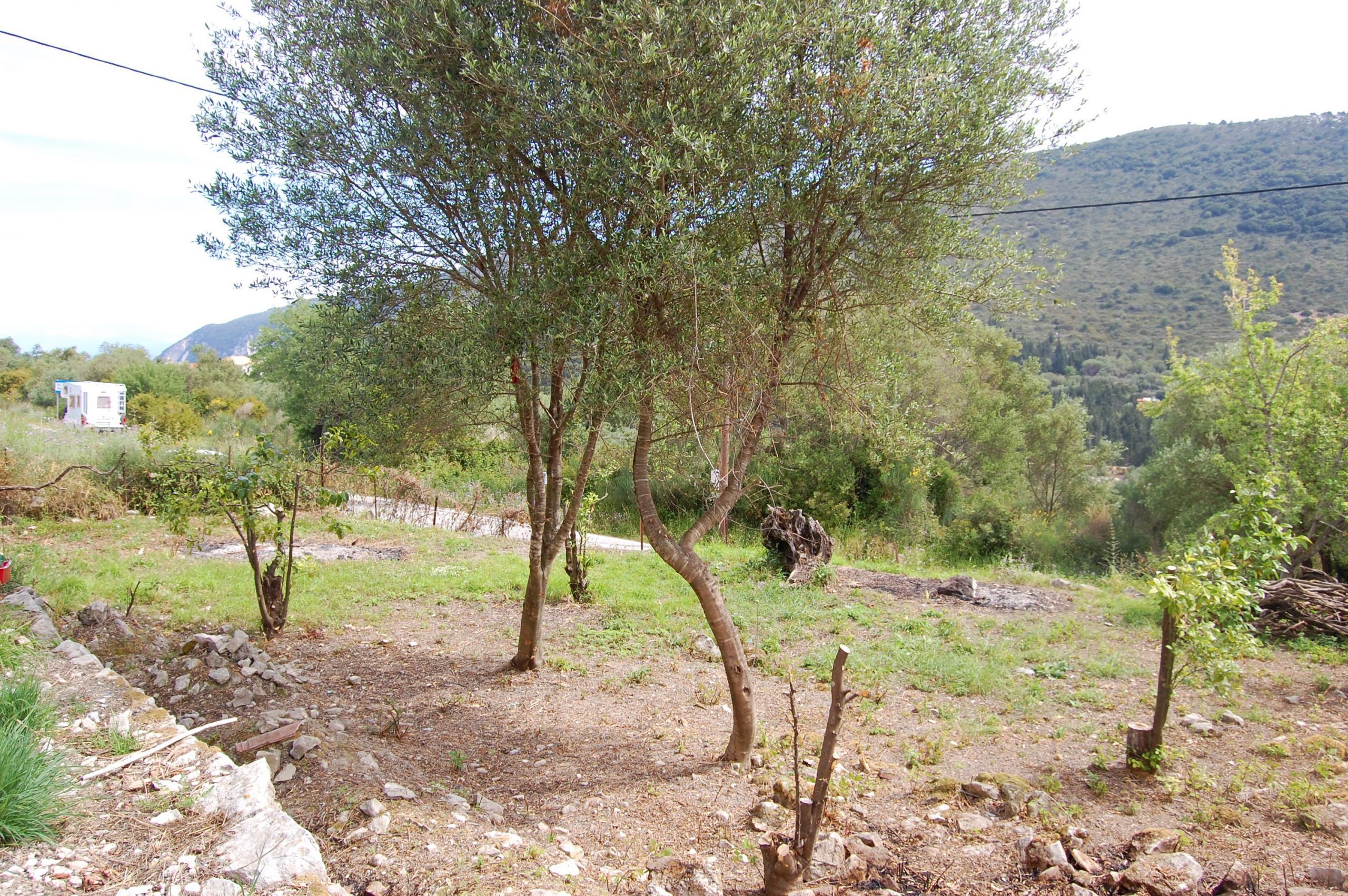 Landscape and terrain of land for sale in Ithaca Greece, Ag Saranda