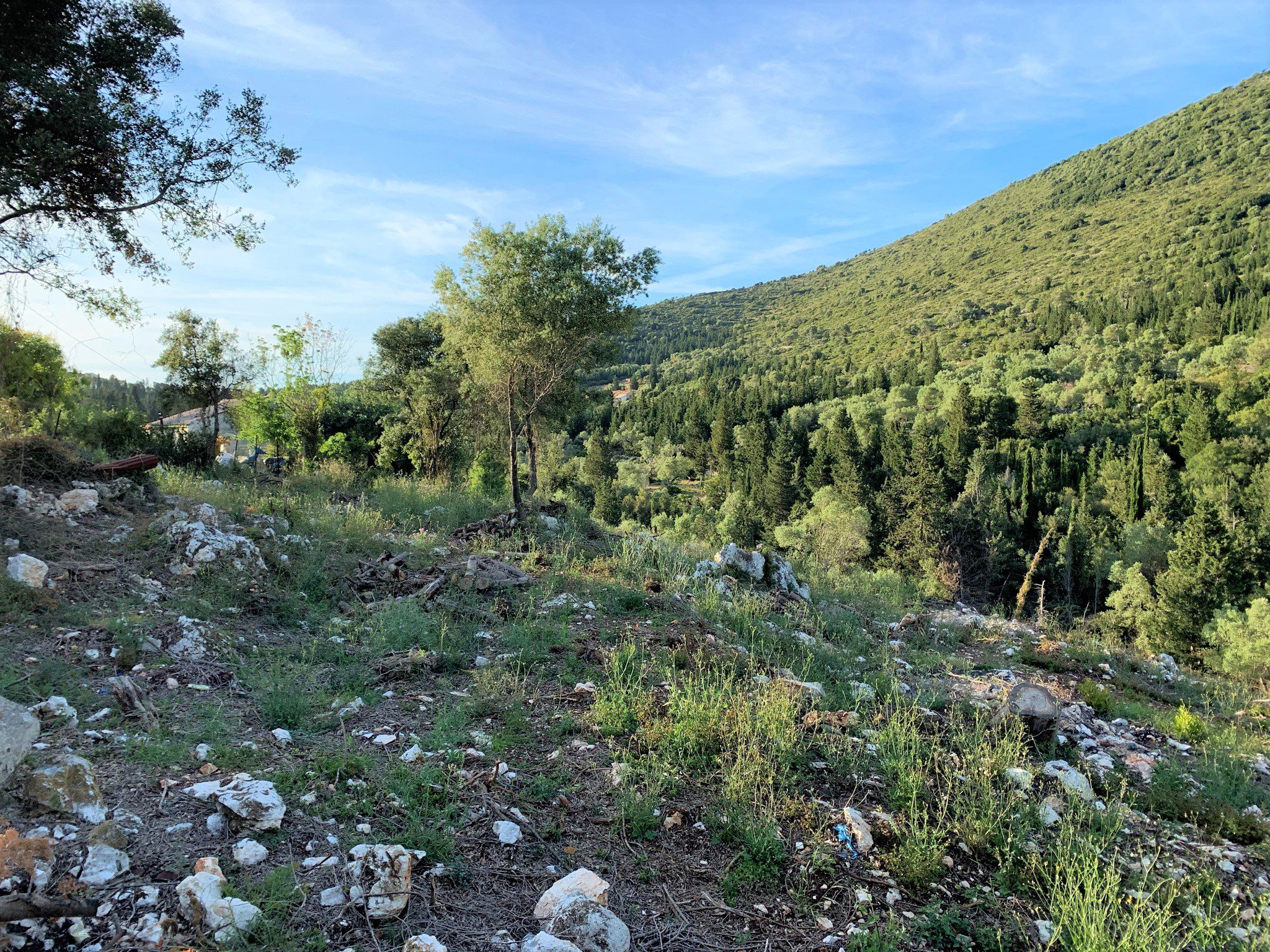 Landscape of land for sale on Ithaca Greece, Vathi