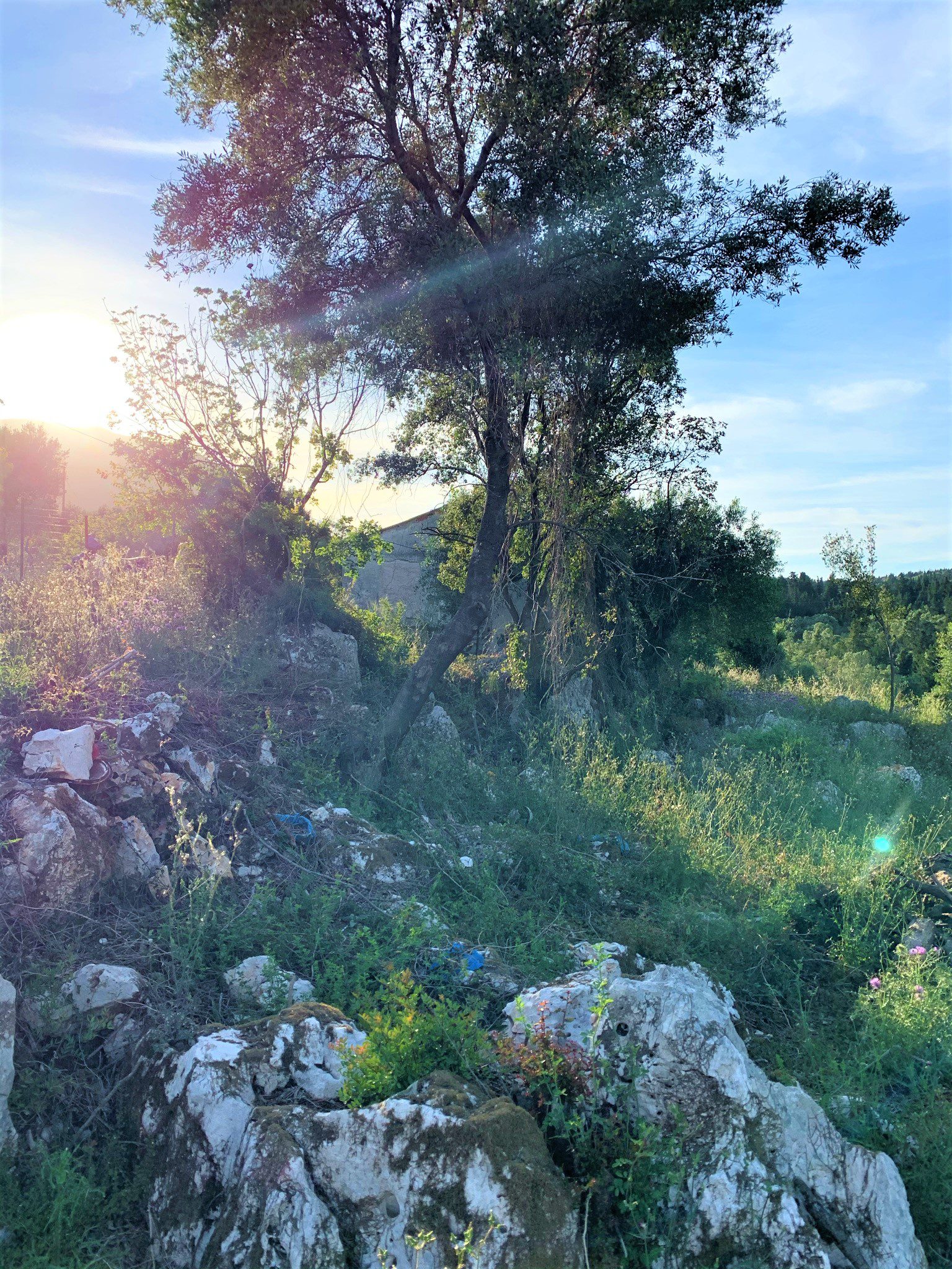 Landscape of land for sale on Ithaca Greece, Vathi