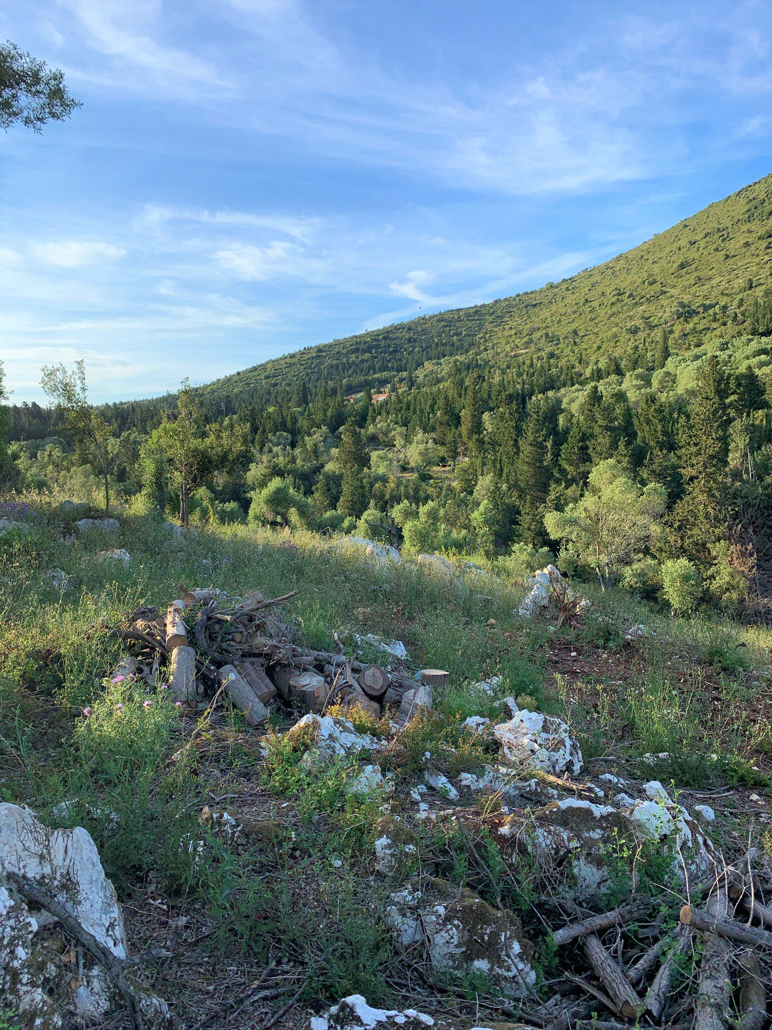 Landscape of land for sale on Ithaca Greece, Vathi