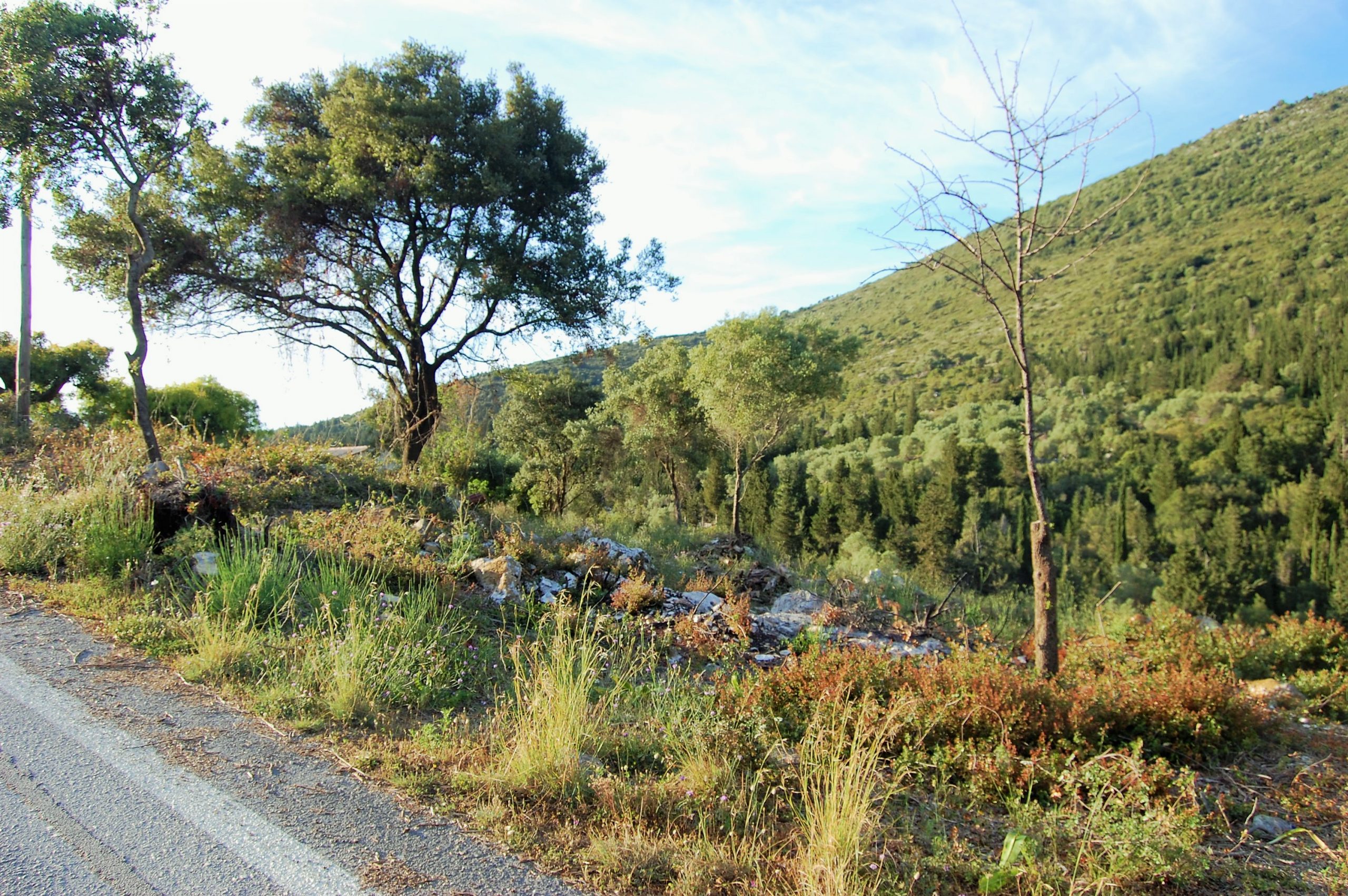 Landscape of land for sale on Ithaca Greece, Vathi
