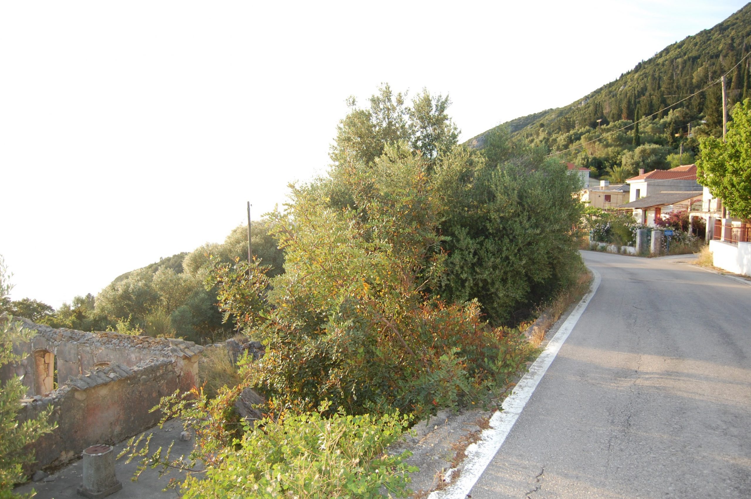 Road to land for sale on Ithaca Greece, Lefki