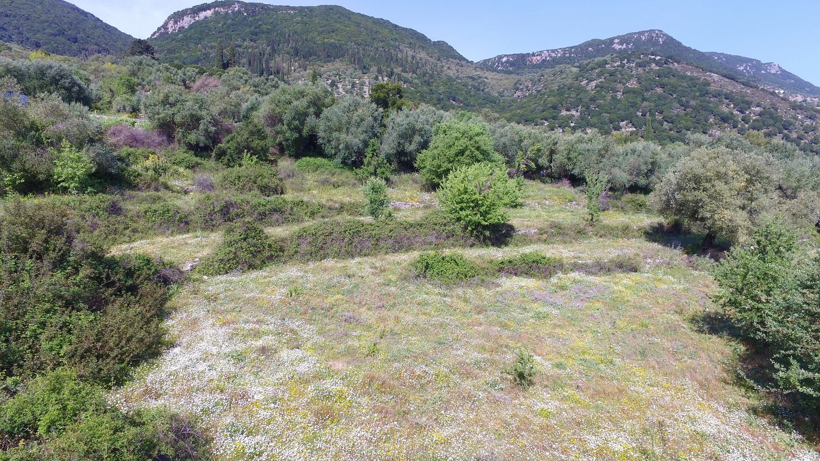 Views from land with building license for sale in Ithaca Greece, Perachori