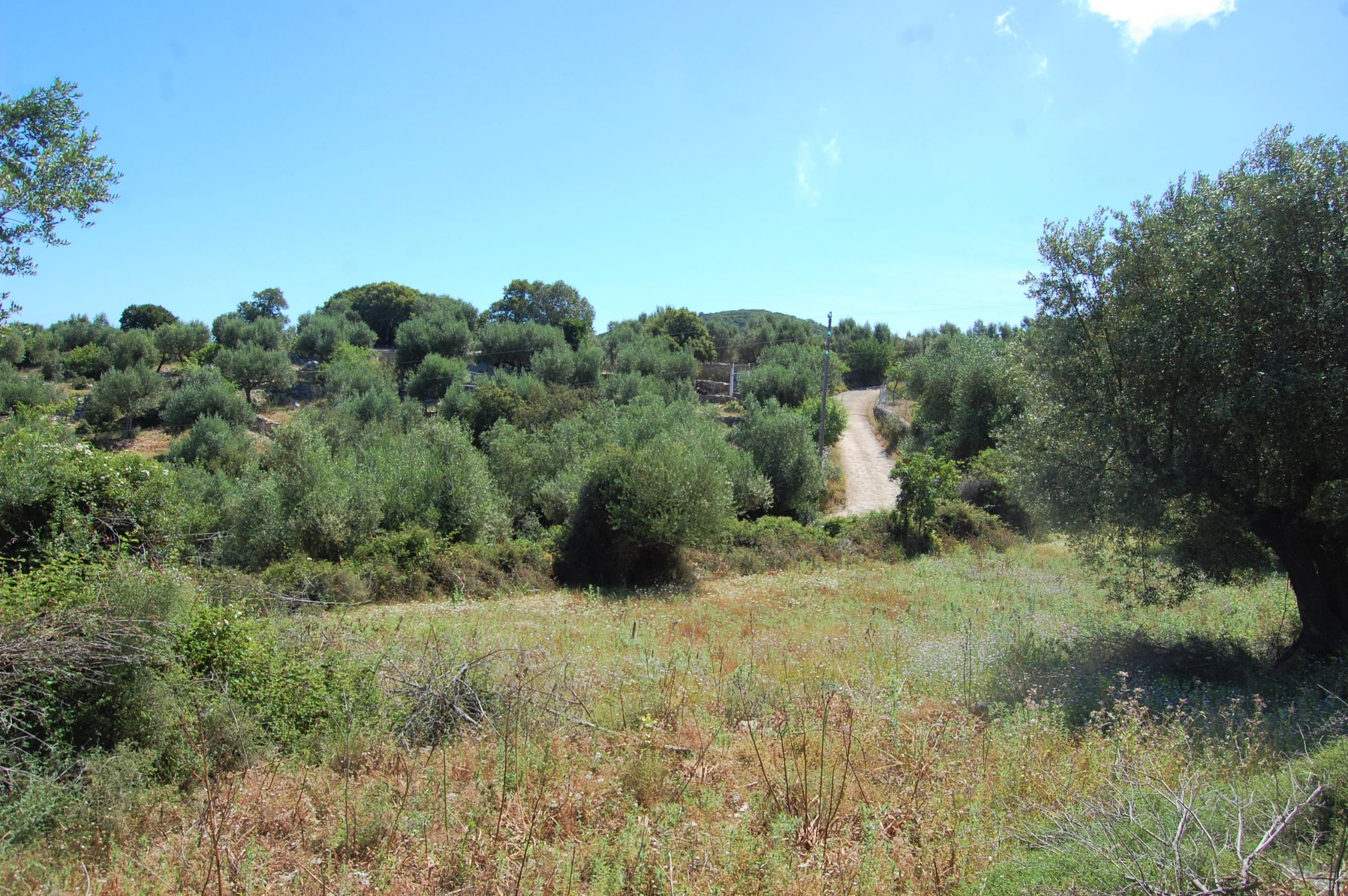 Landscape and terrain of land with building license for sale in Ithaca Greece, Perachori