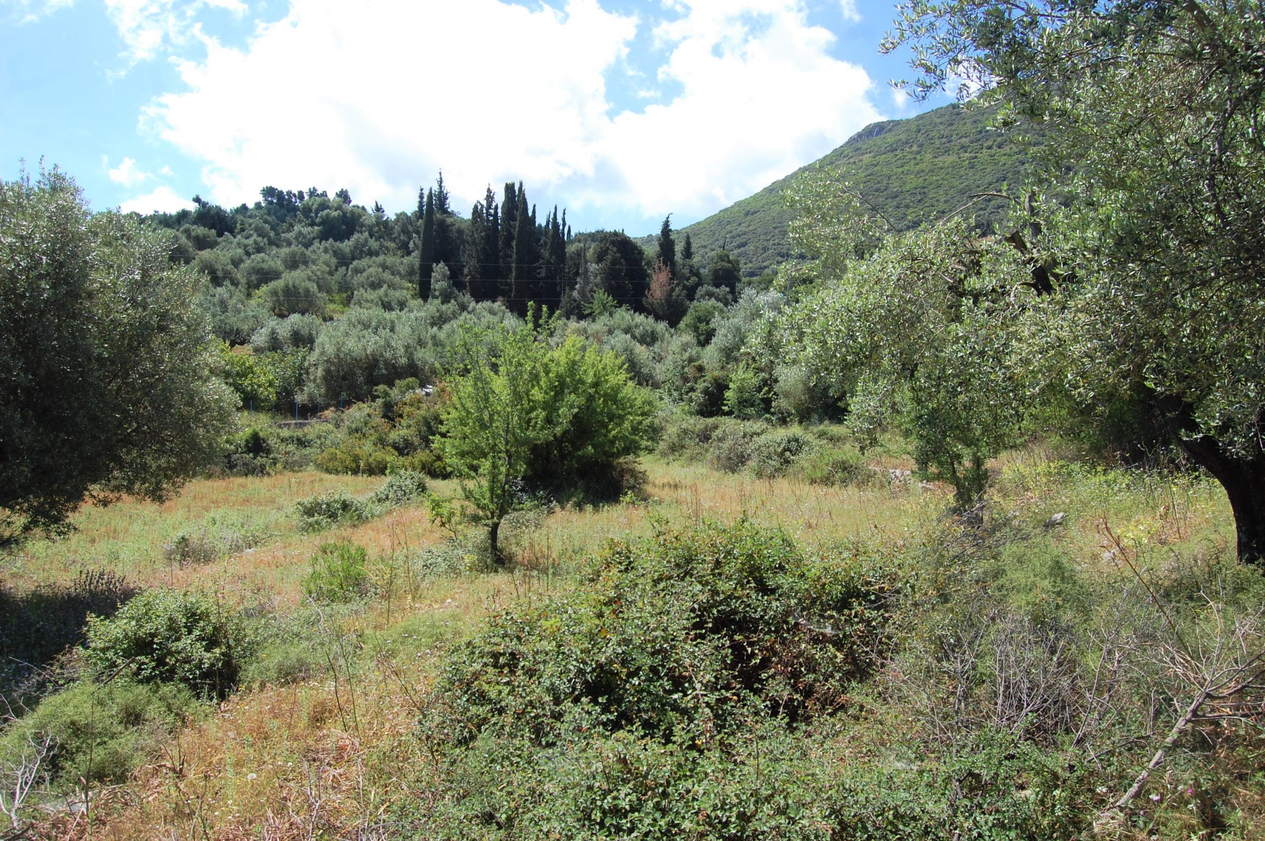 Landscape and terrain of land with building license for sale in Ithaca Greece, Perachori
