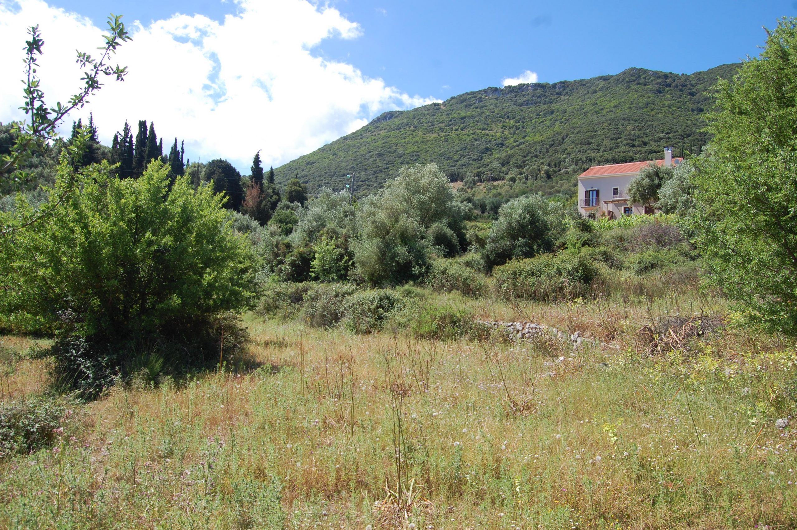 Landscape of land with building license for sale in Ithaca Greece, Perachori