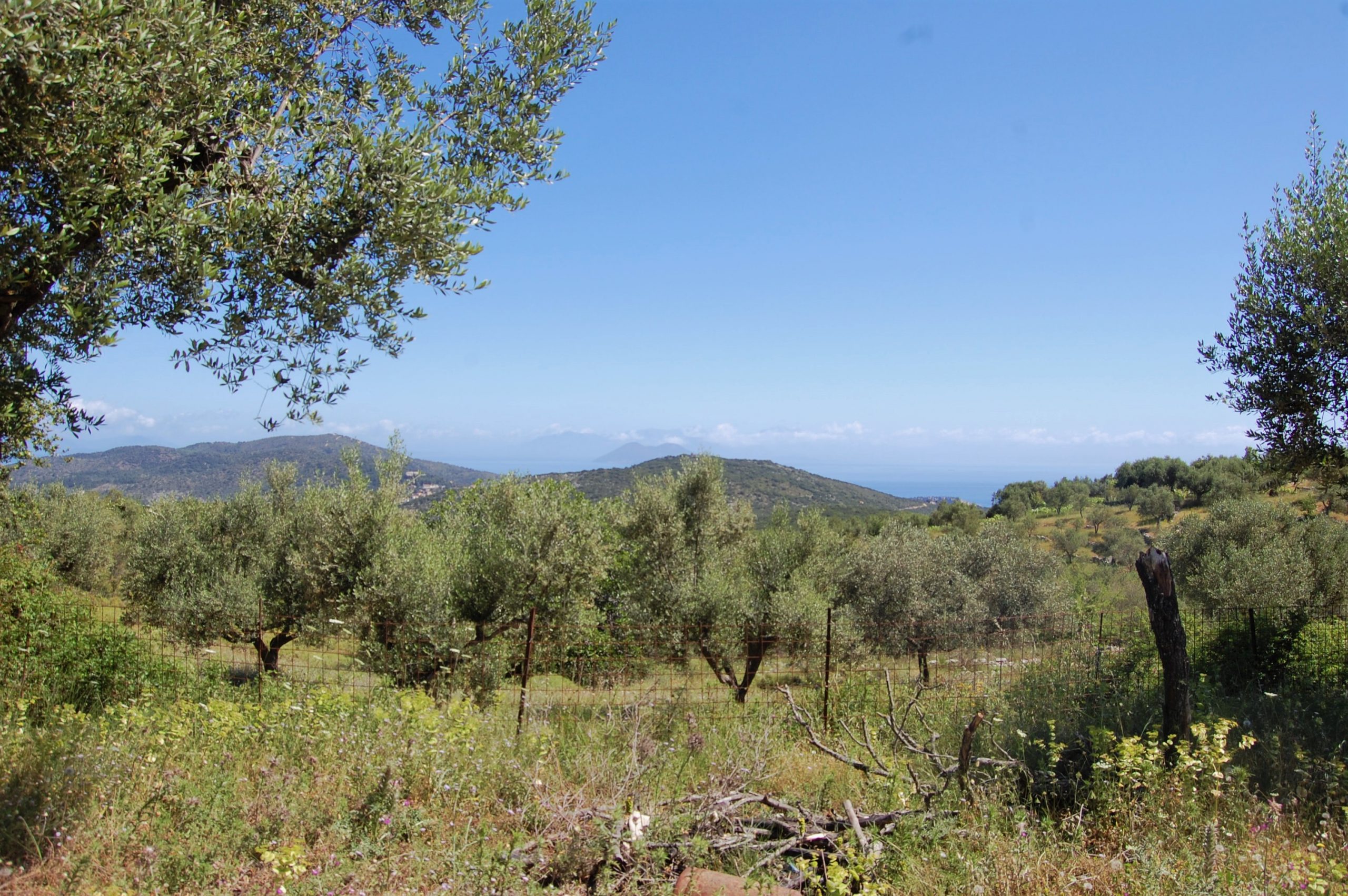 Views from land with building license for sale in Ithaca Greece, Perachori