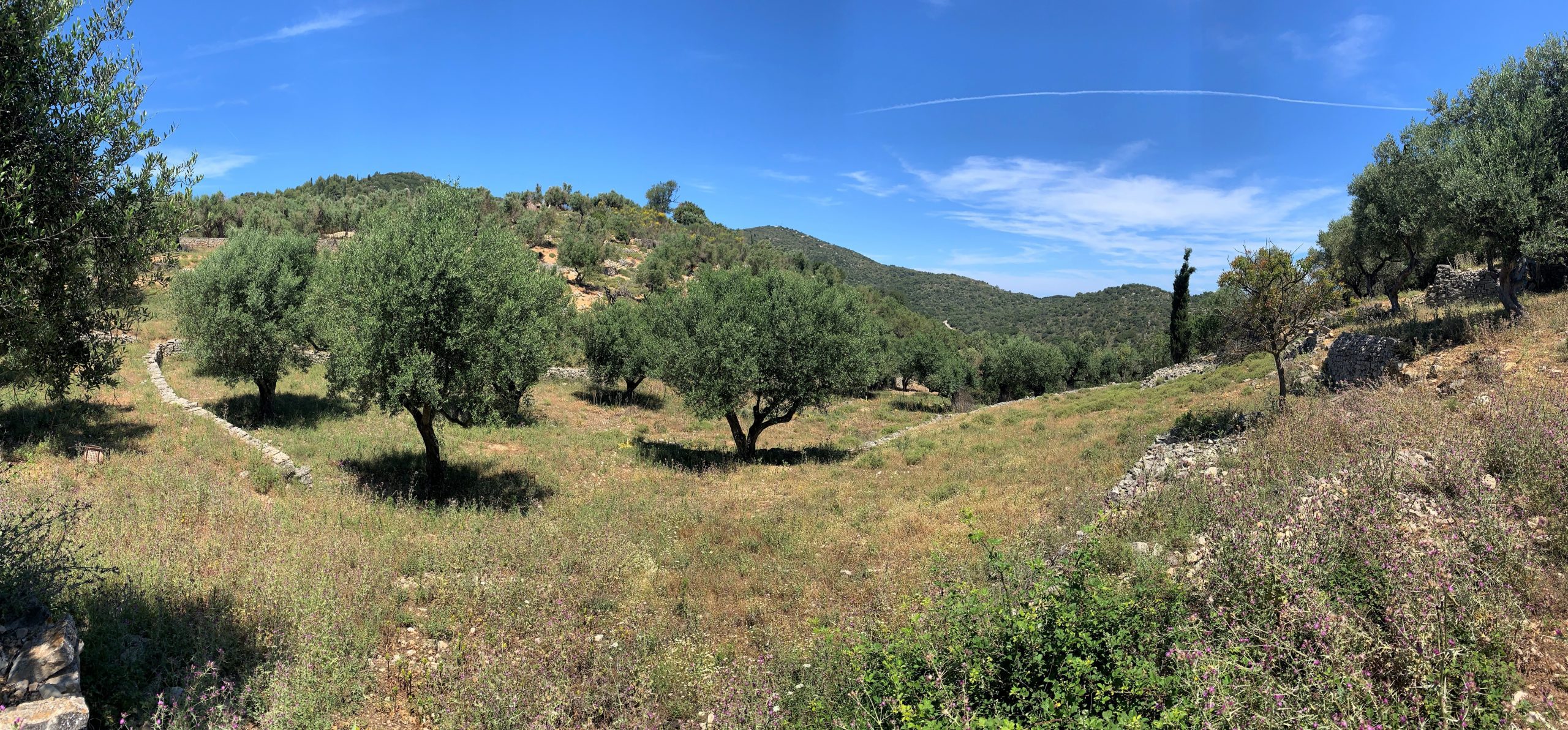 Landscape and terrain of land for sale on Ithaca Greece, Vathi