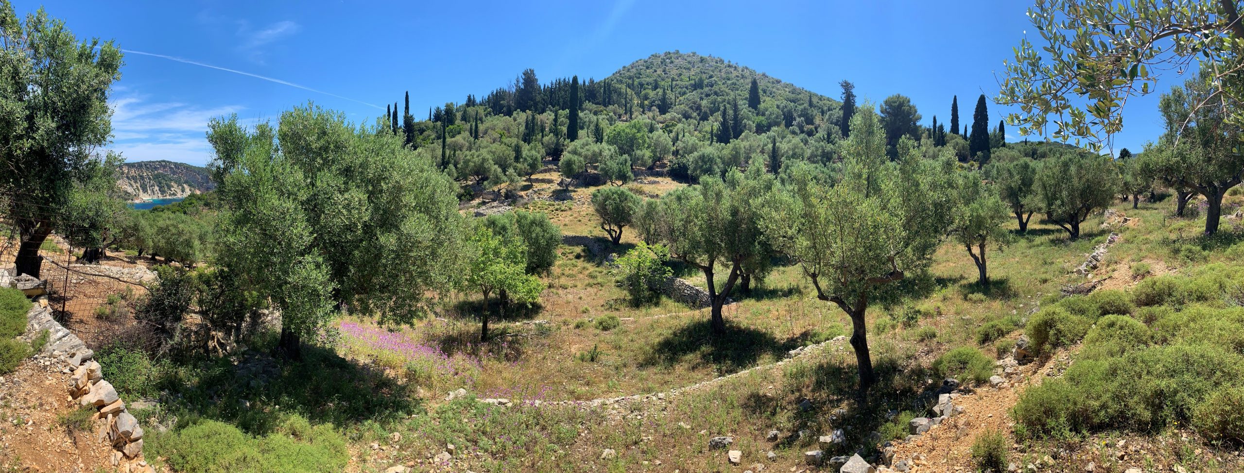 Landscape and terrain of land for sale on Ithaca Greece, Vathi