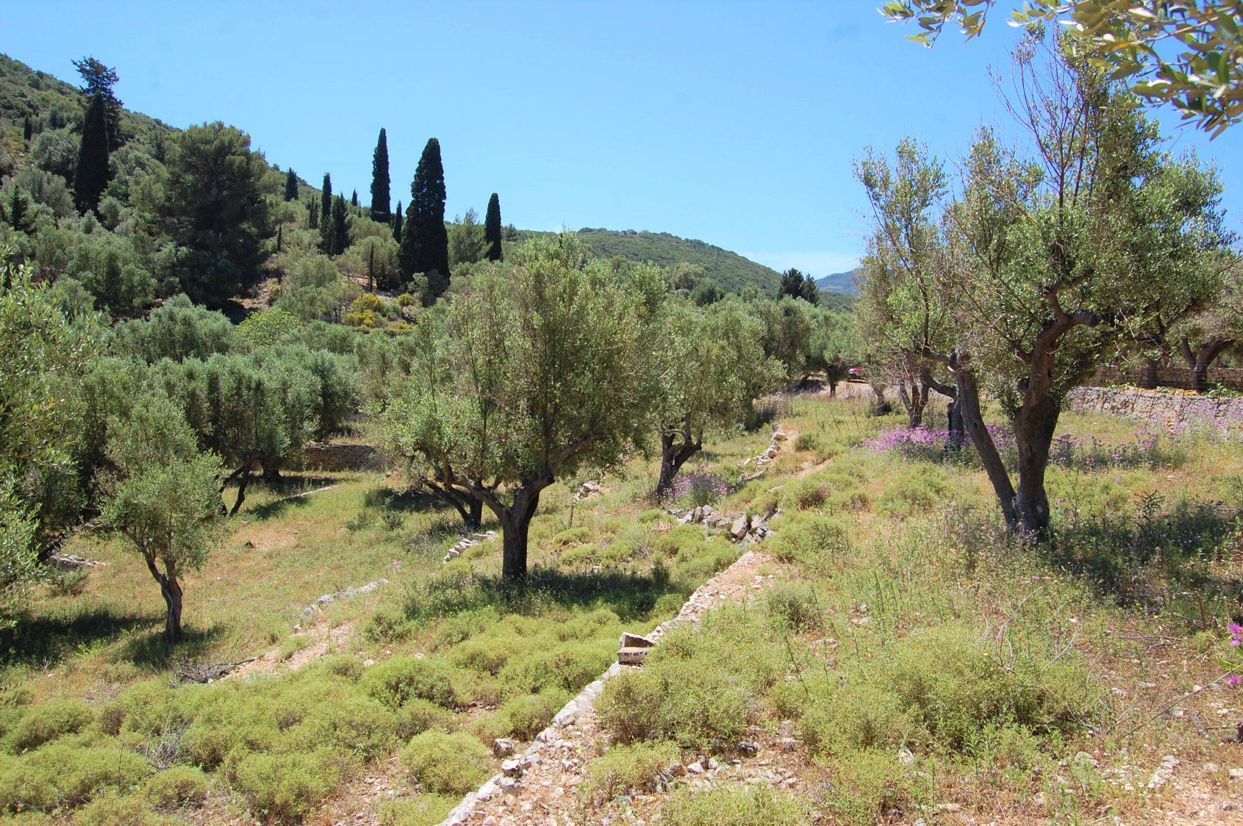 Landscape and terrain of land for sale on Ithaca Greece, Vathi