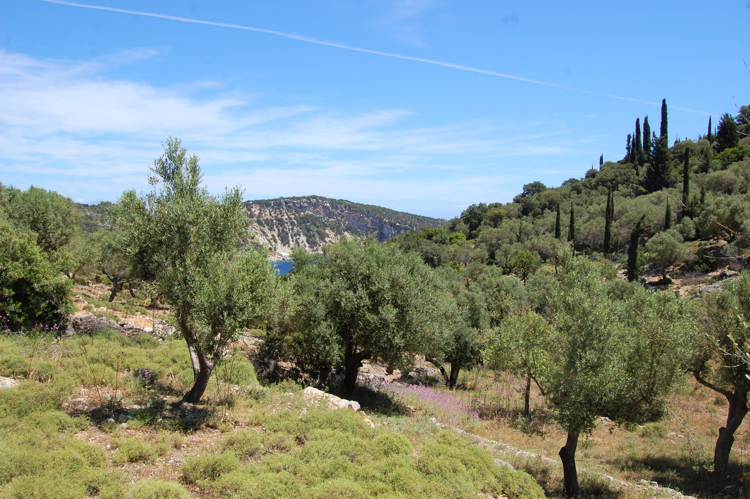 Landscape and terrain of land for sale on Ithaca Greece, Vathi