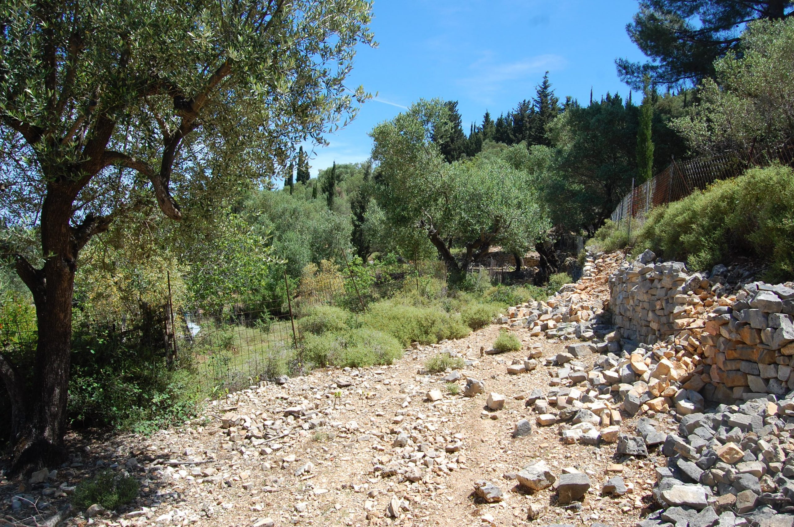 Landscape and terrain of land for sale on Ithaca Greece, Vathi
