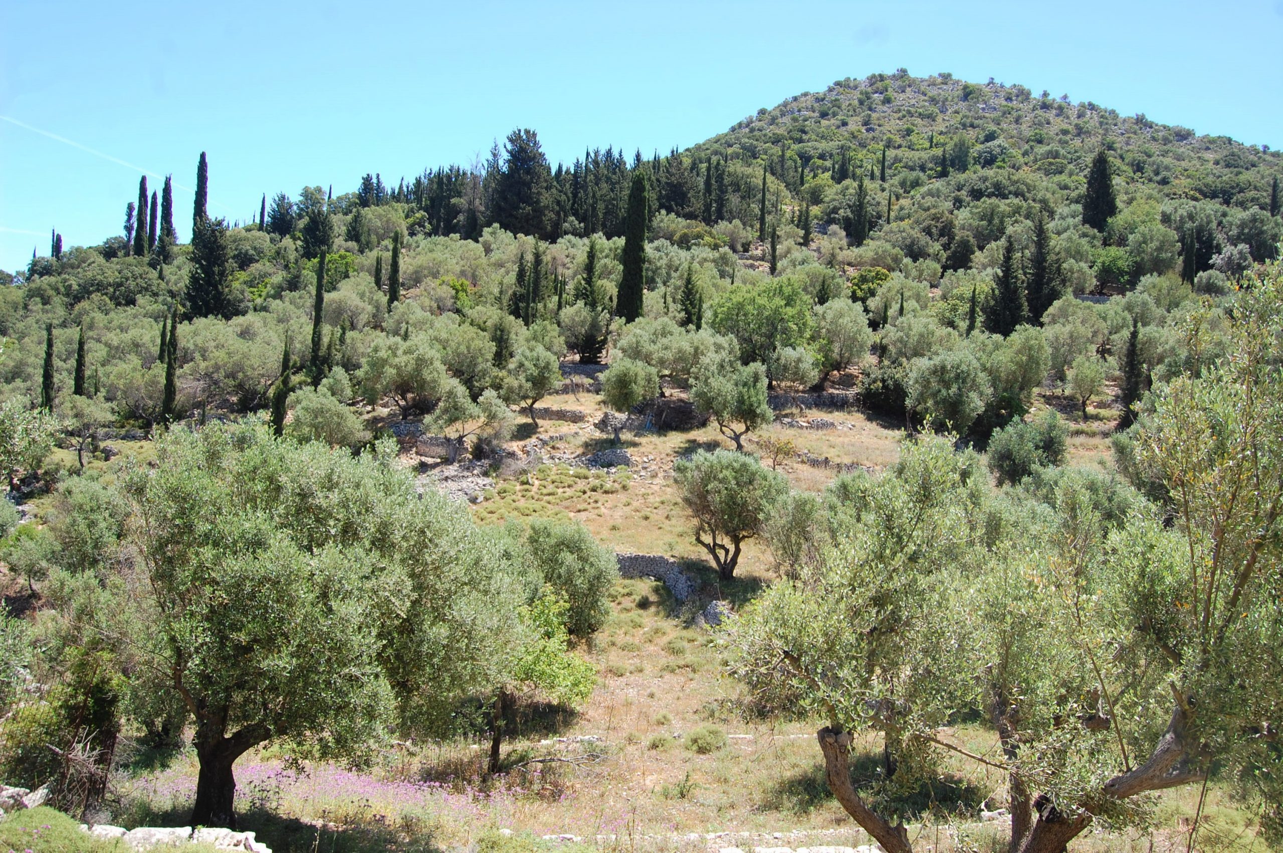 Landscape and terrain of land for sale on Ithaca Greece, Vathi