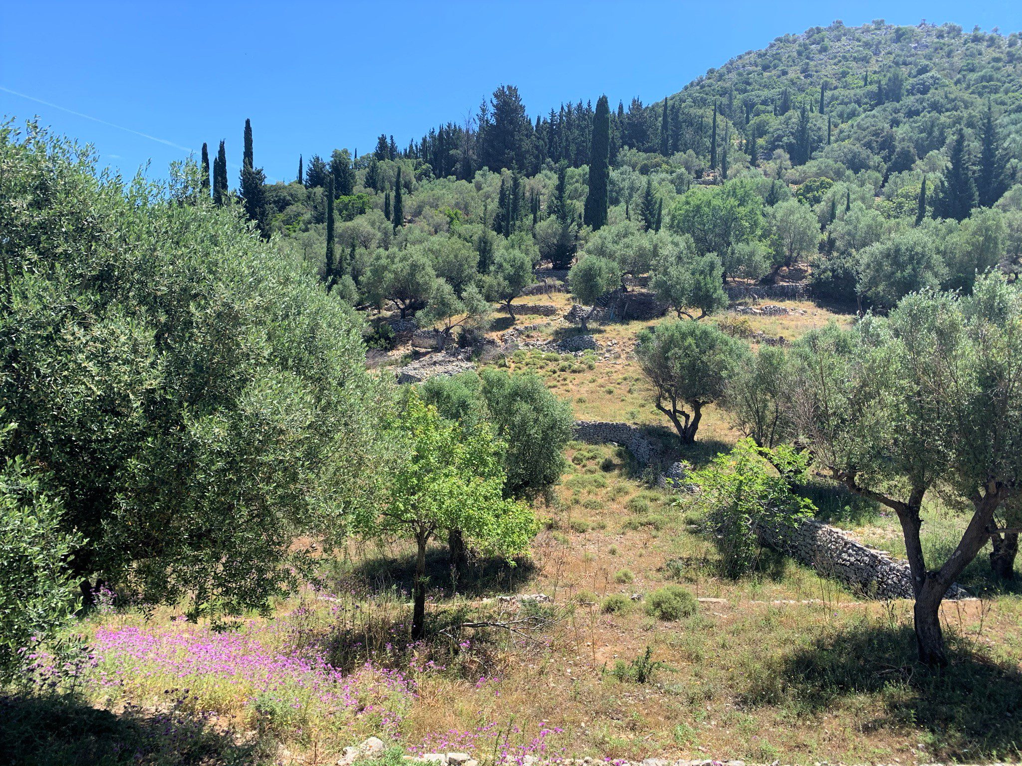 Landscape and terrain of land for sale on Ithaca Greece, Vathi