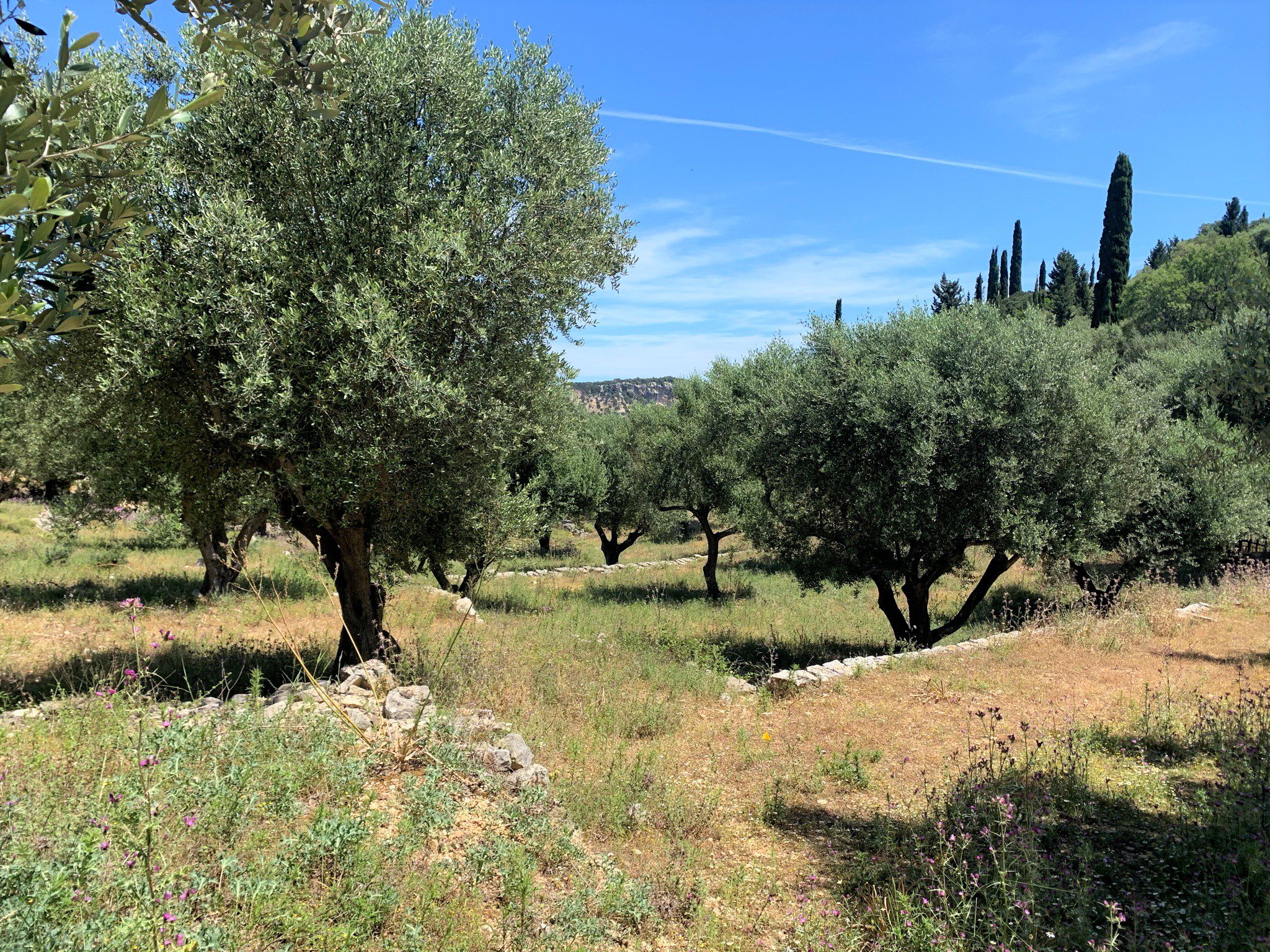 Landscape and terrain of land for sale on Ithaca Greece, Vathi