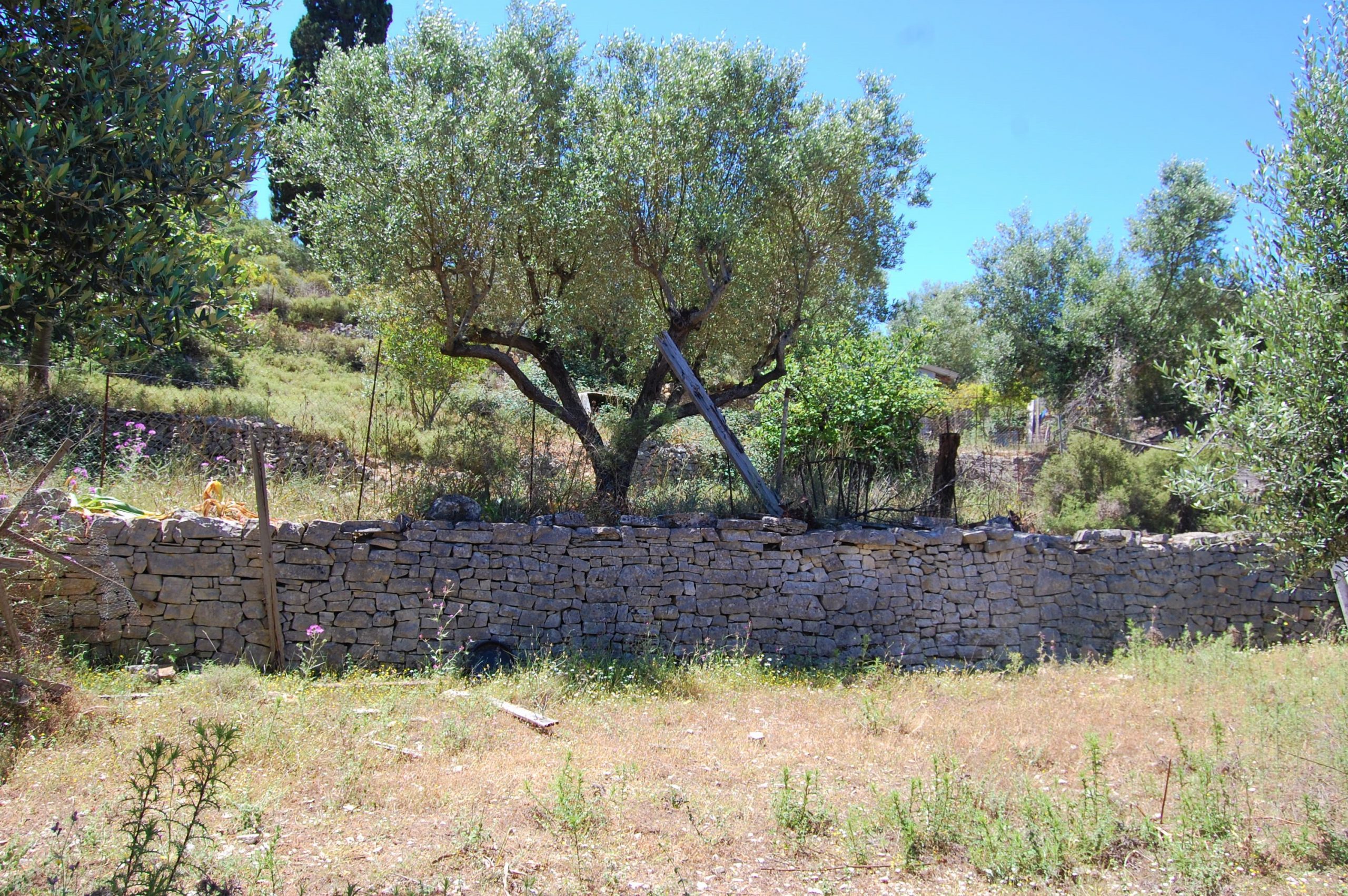 Landscape and terrain of land for sale on Ithaca Greece, Vathi