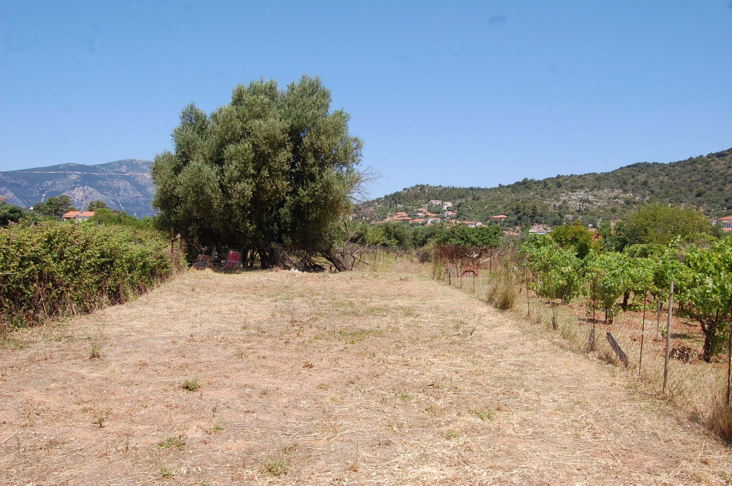 Terrain and landscape of land for sale on Ithaca Greece, Vathi