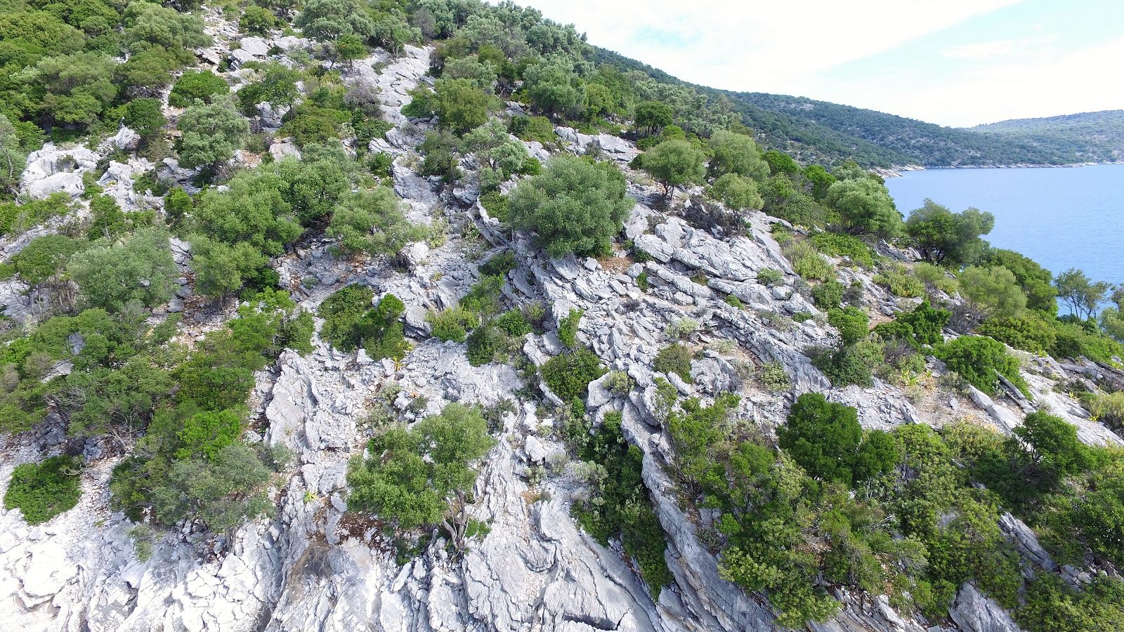 Aerial view of land for sale on Ithaca Greece, Meganisi
