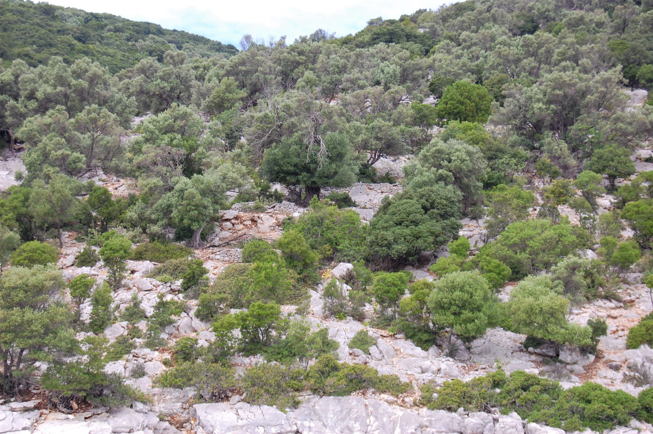 Aerial view of land for sale on Ithaca Greece, Meganisi