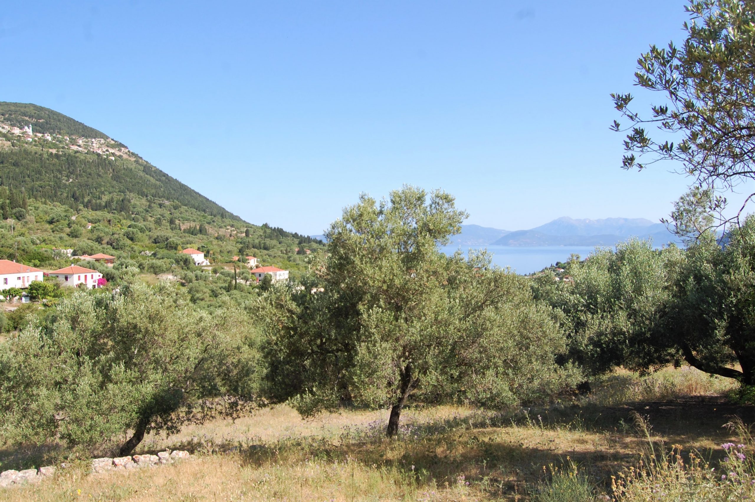 Landscape and terrain of land for sale on Ithaca Greece, Pilikata