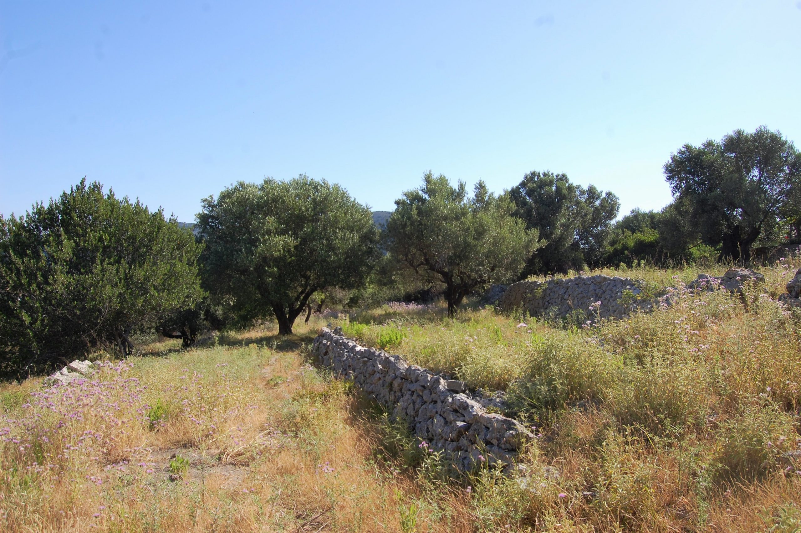 Landscape and terrain of land for sale on Ithaca Greece, Pilikata