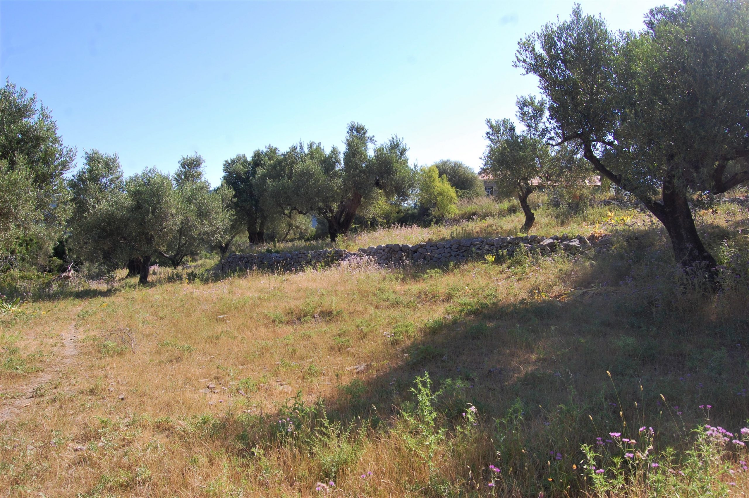 Landscape and terrain of land for sale on Ithaca Greece, Pilikata